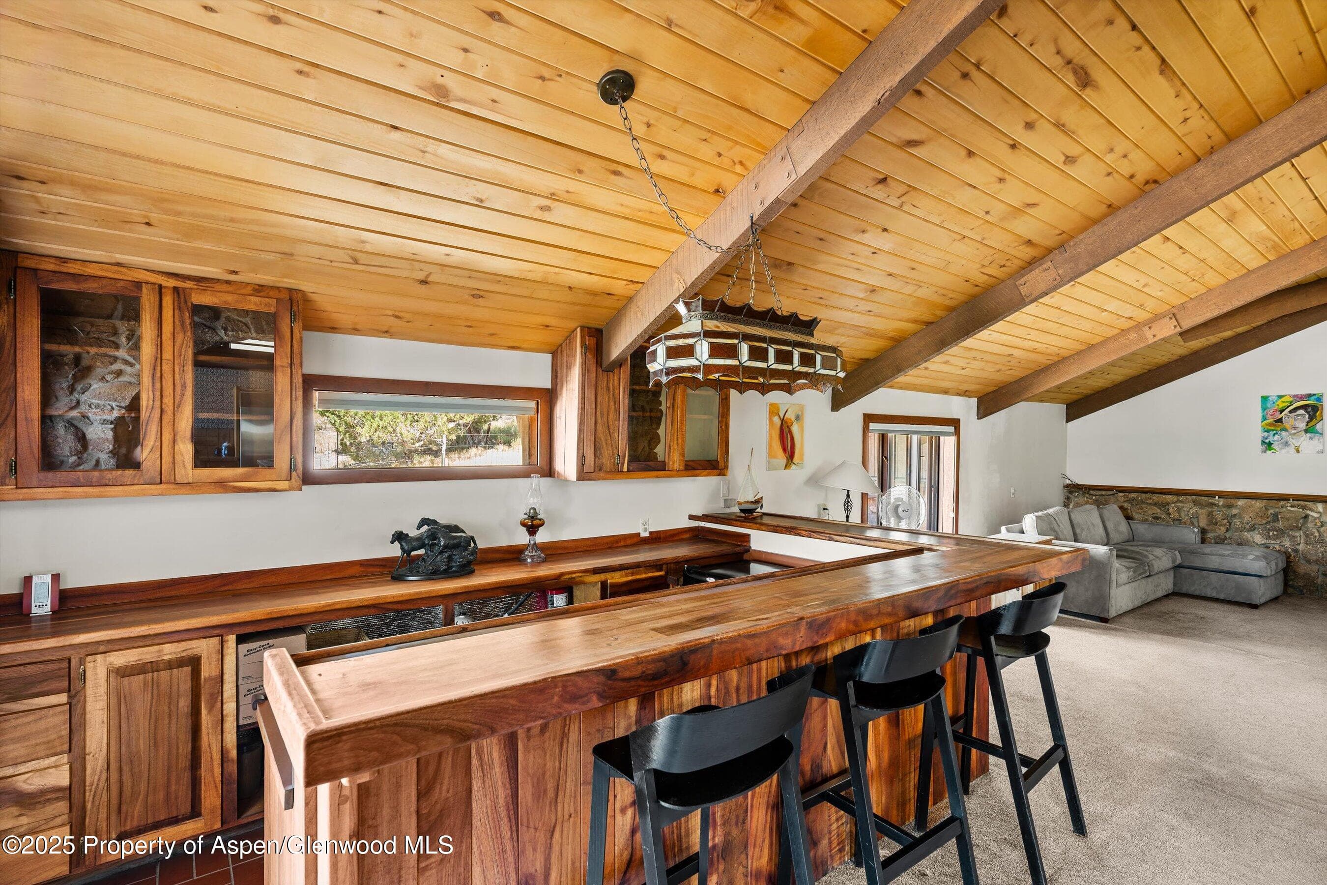 14 Fender Lane, Carbondale, CO 81623 - Photo 17