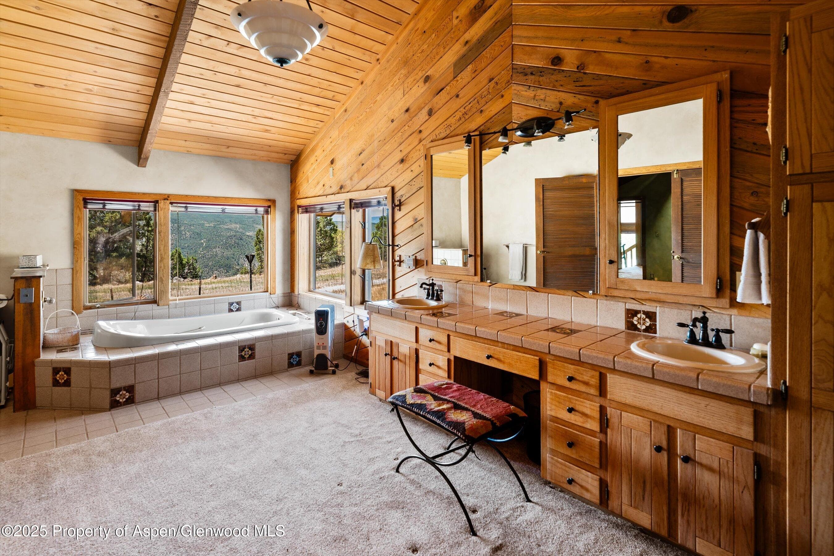 14 Fender Lane, Carbondale, CO 81623 - Photo 19