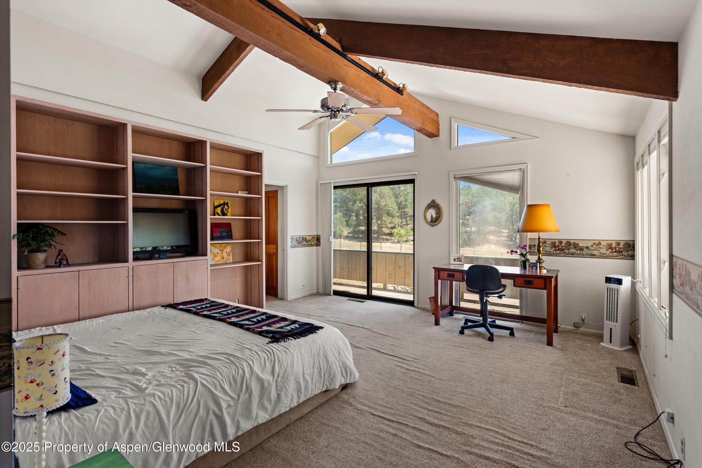 14 Fender Lane, Carbondale, CO 81623 - Photo 20