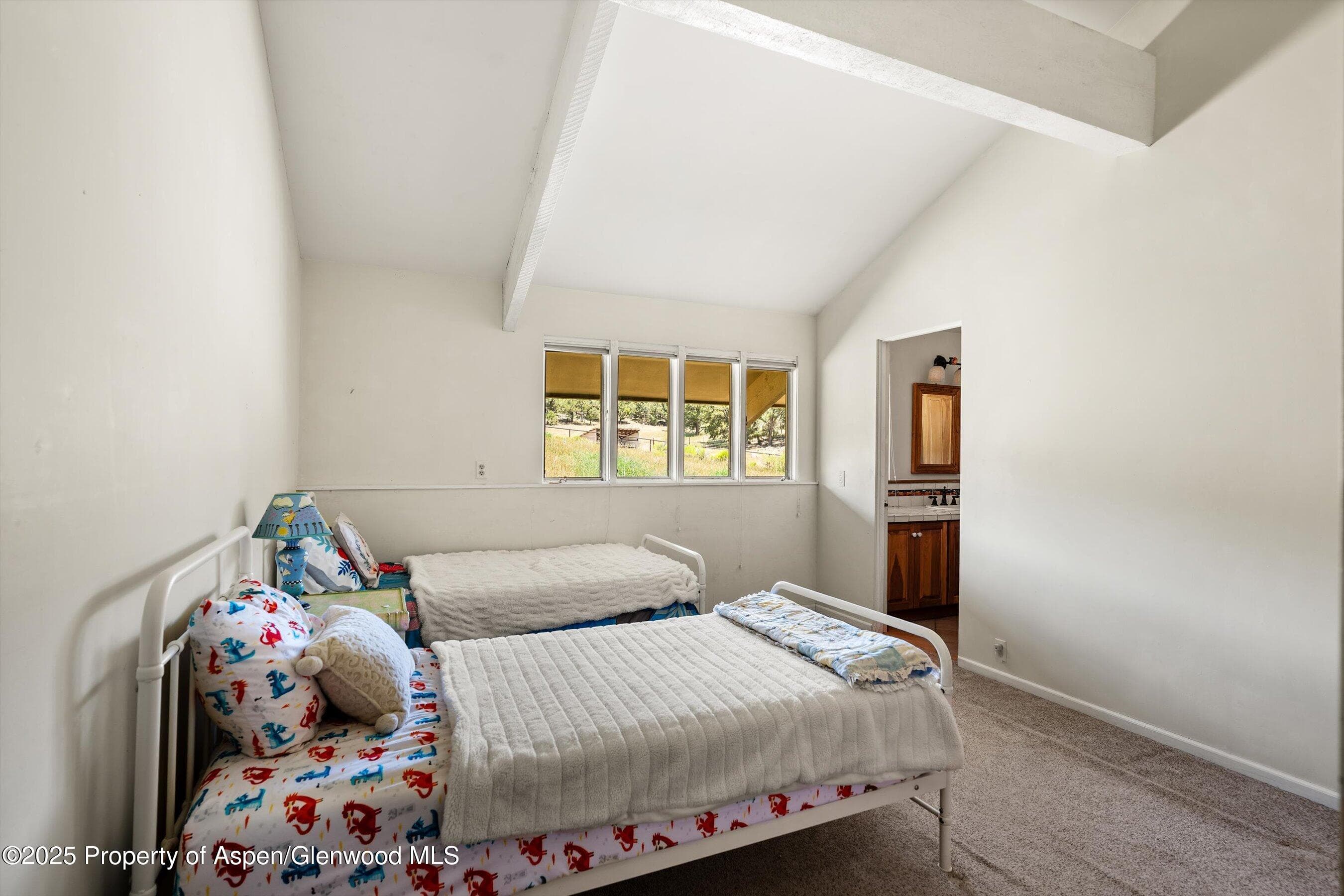 14 Fender Lane, Carbondale, CO 81623 - Photo 22