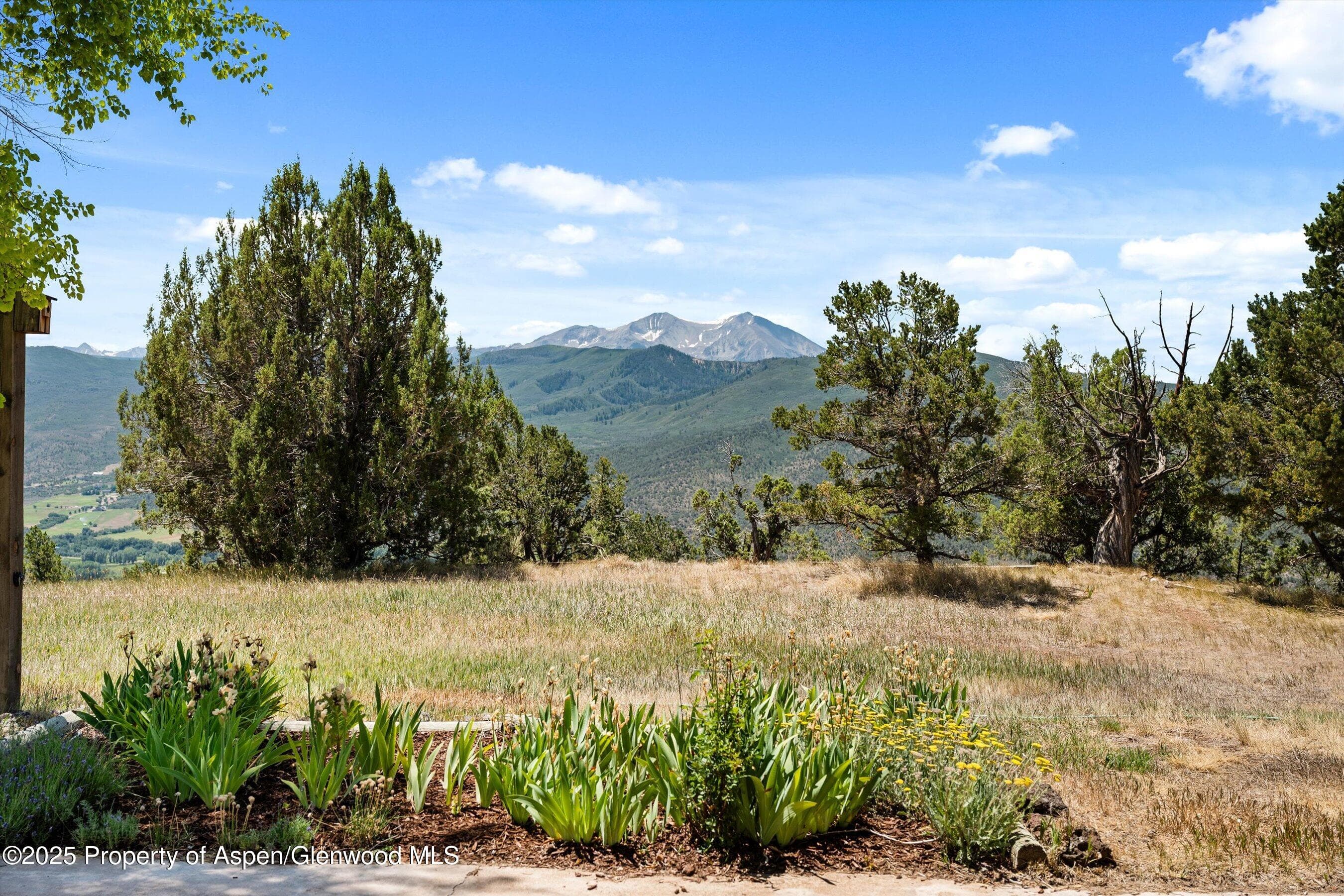 14 Fender Lane, Carbondale, CO 81623 - Photo 2