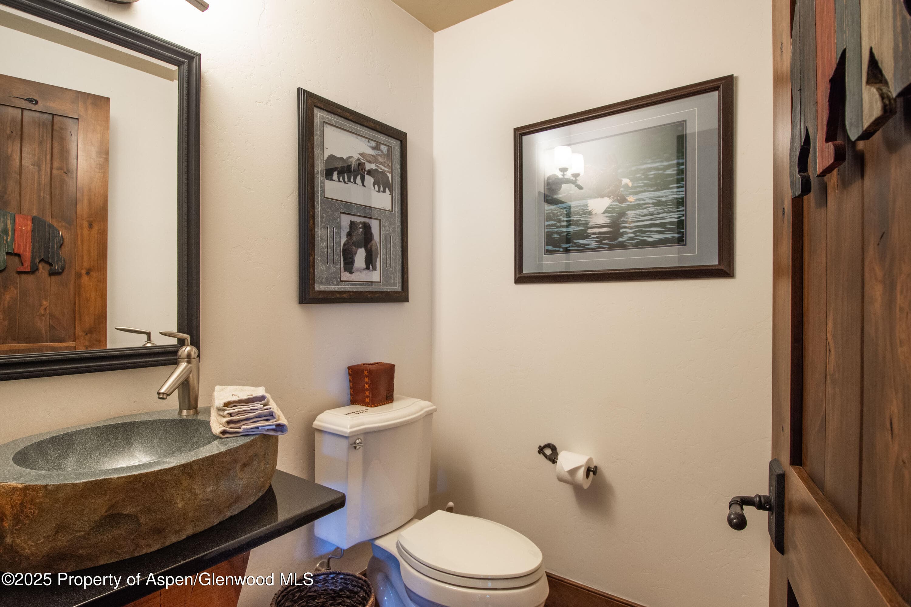 900 Bald Eagle Way, Carbondale, CO 81623 - Photo 12