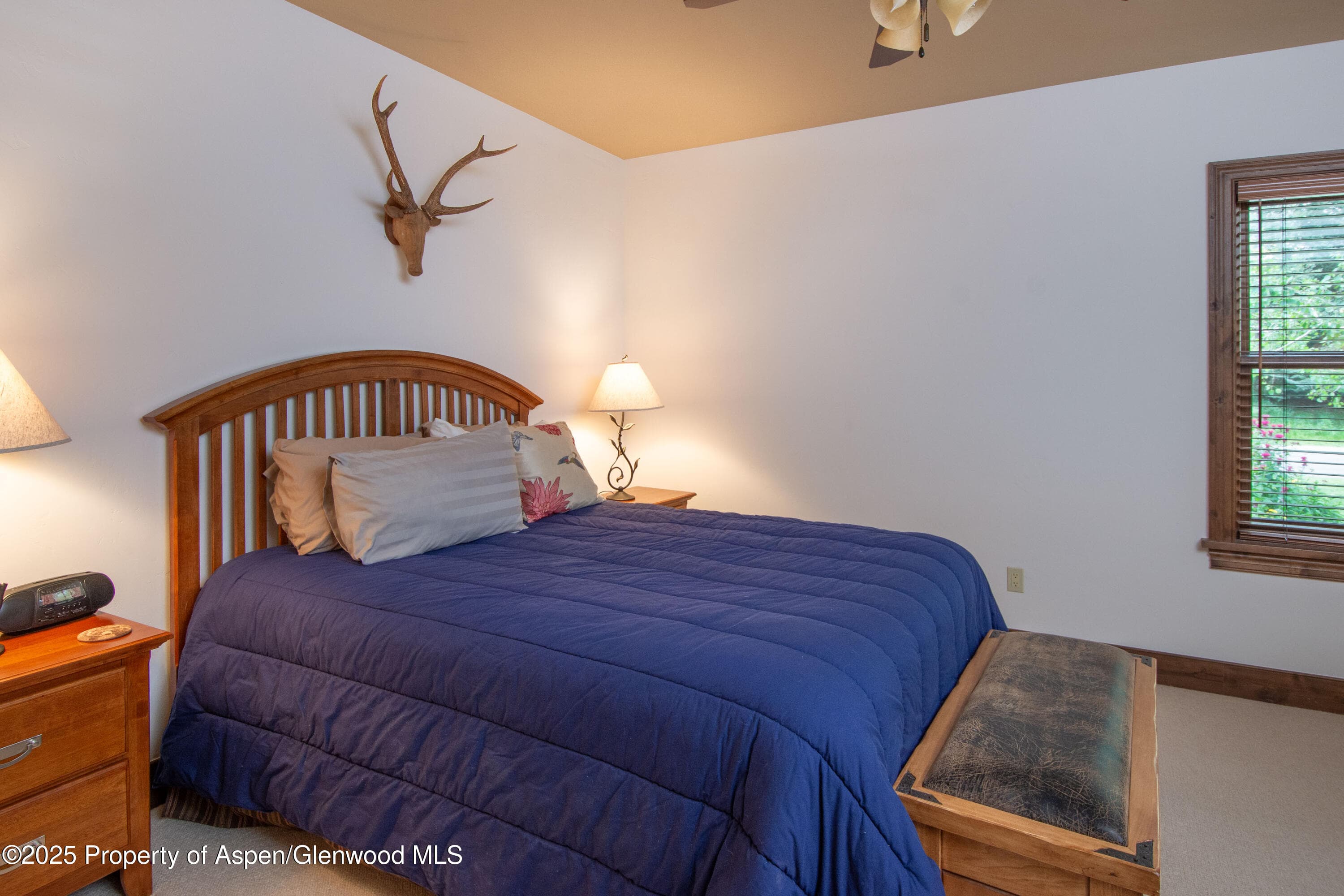900 Bald Eagle Way, Carbondale, CO 81623 - Photo 22