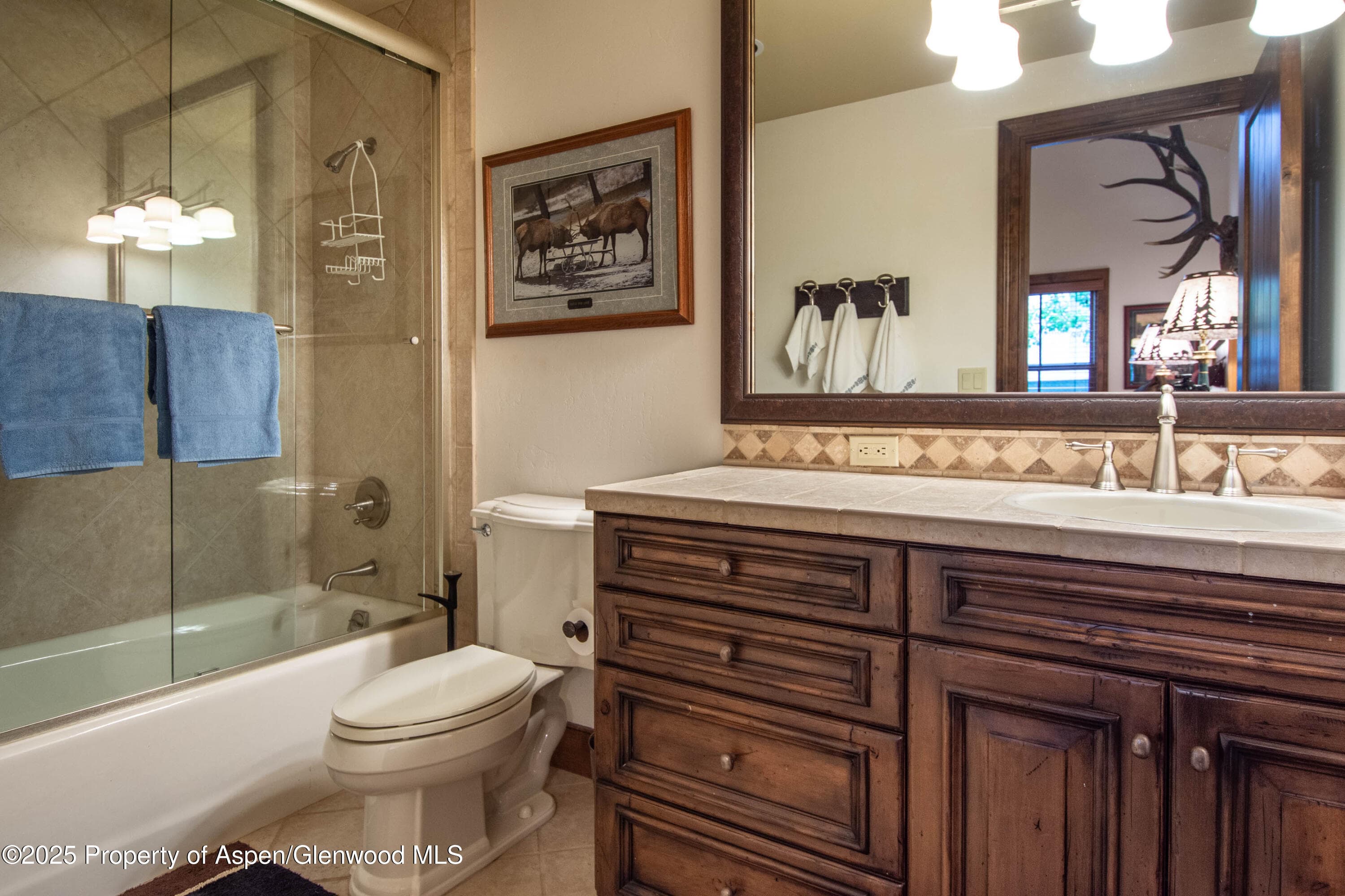 900 Bald Eagle Way, Carbondale, CO 81623 - Photo 27