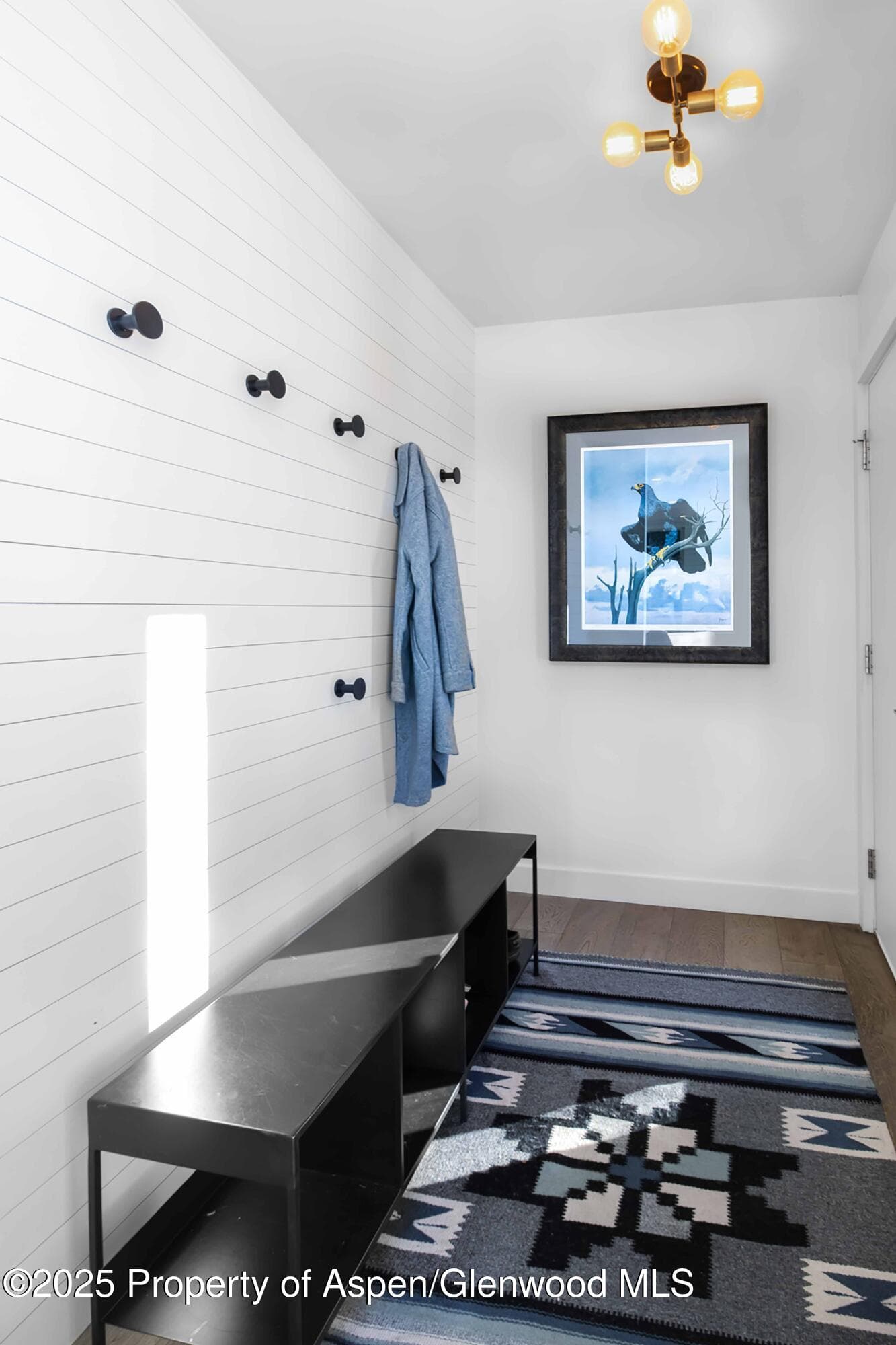 189 Capitol Avenue, Carbondale, CO 81623 - Photo 3
