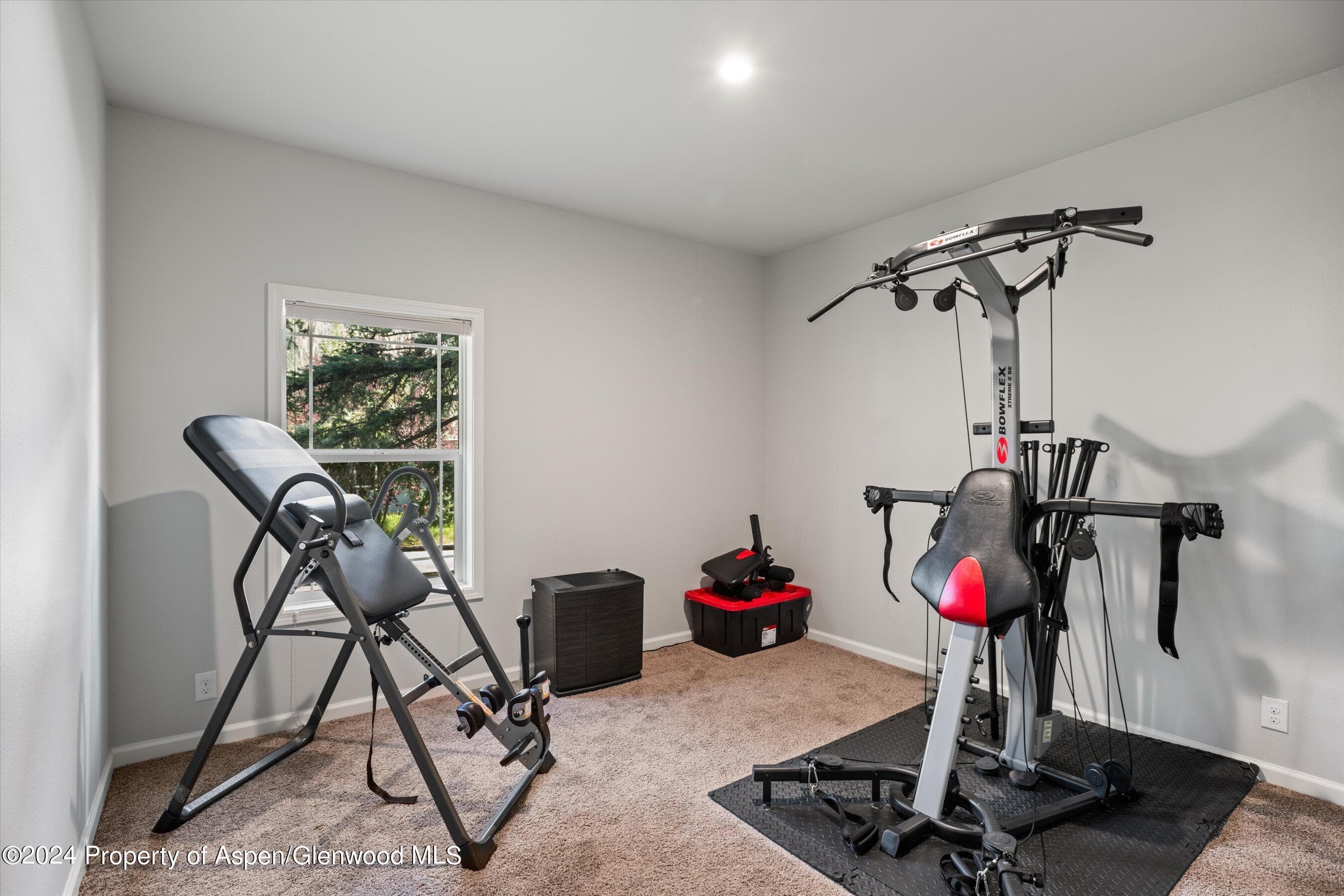 29 Bear Trail, Aspen, CO 81611 - Photo 19