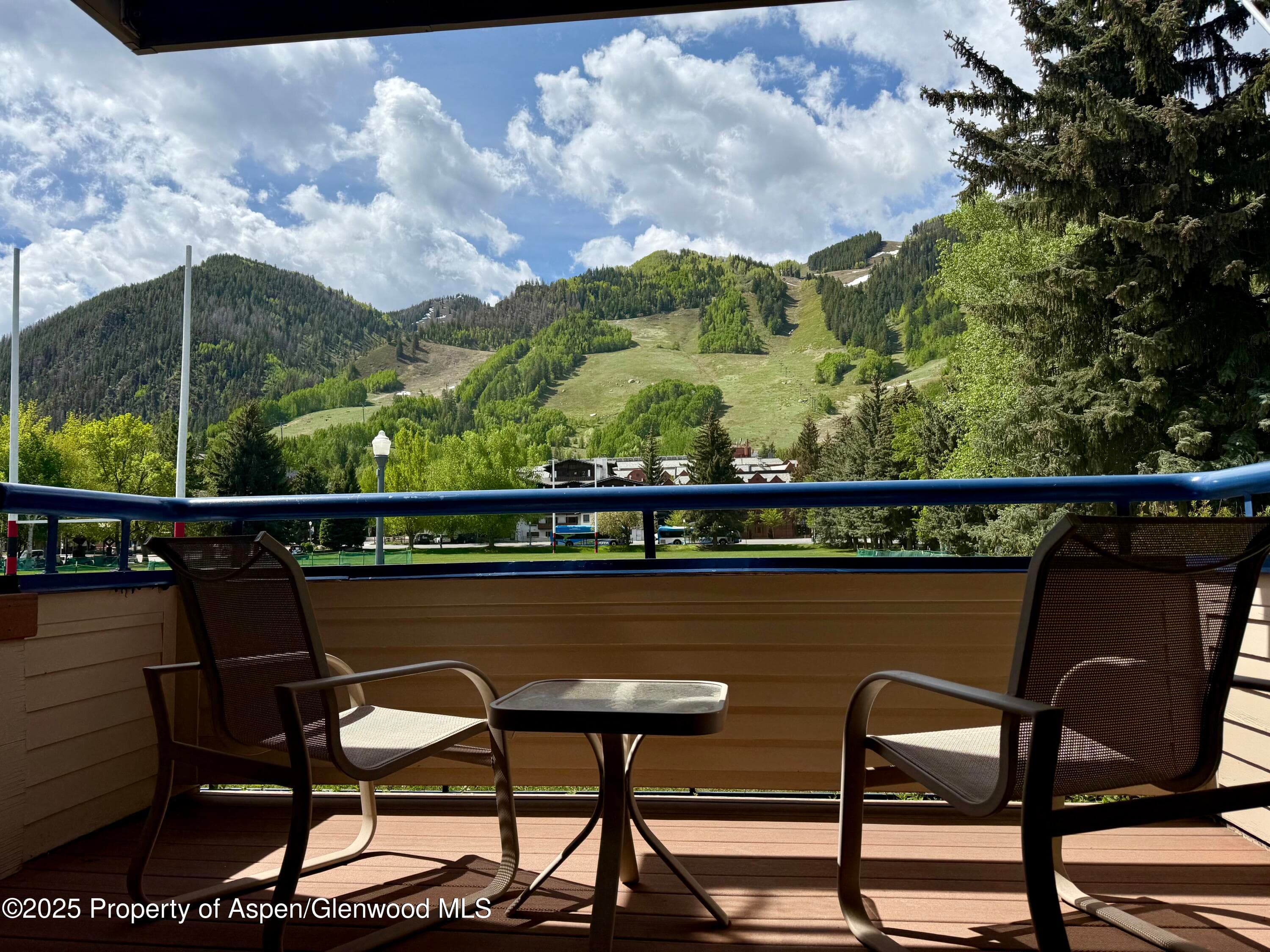 301 E Hyman Avenue #205 (Wks 21,22,38), Aspen, CO 81611 - Photo 1