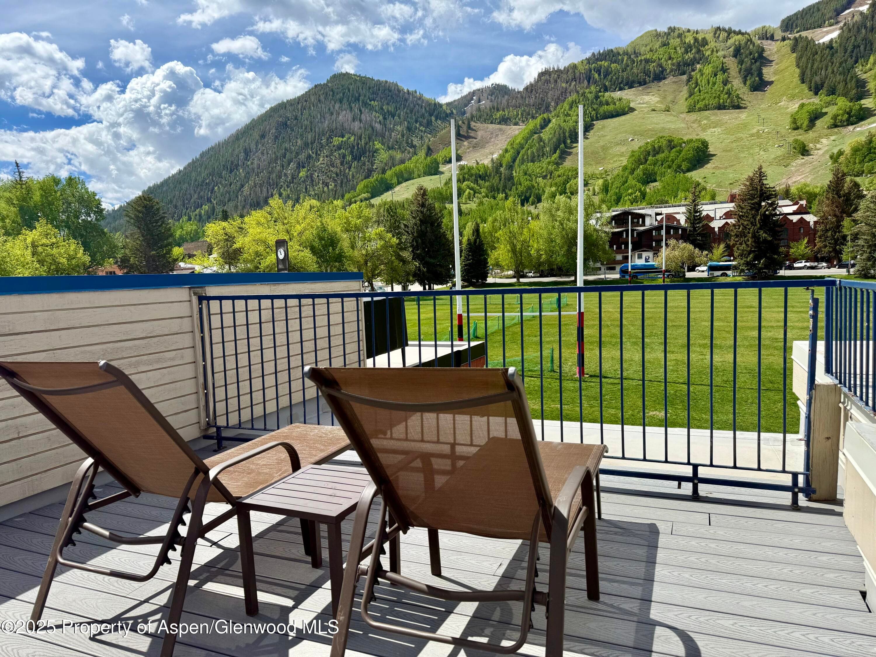301 E Hyman Avenue #205 (Wks 21,22,38), Aspen, CO 81611 - Photo 11