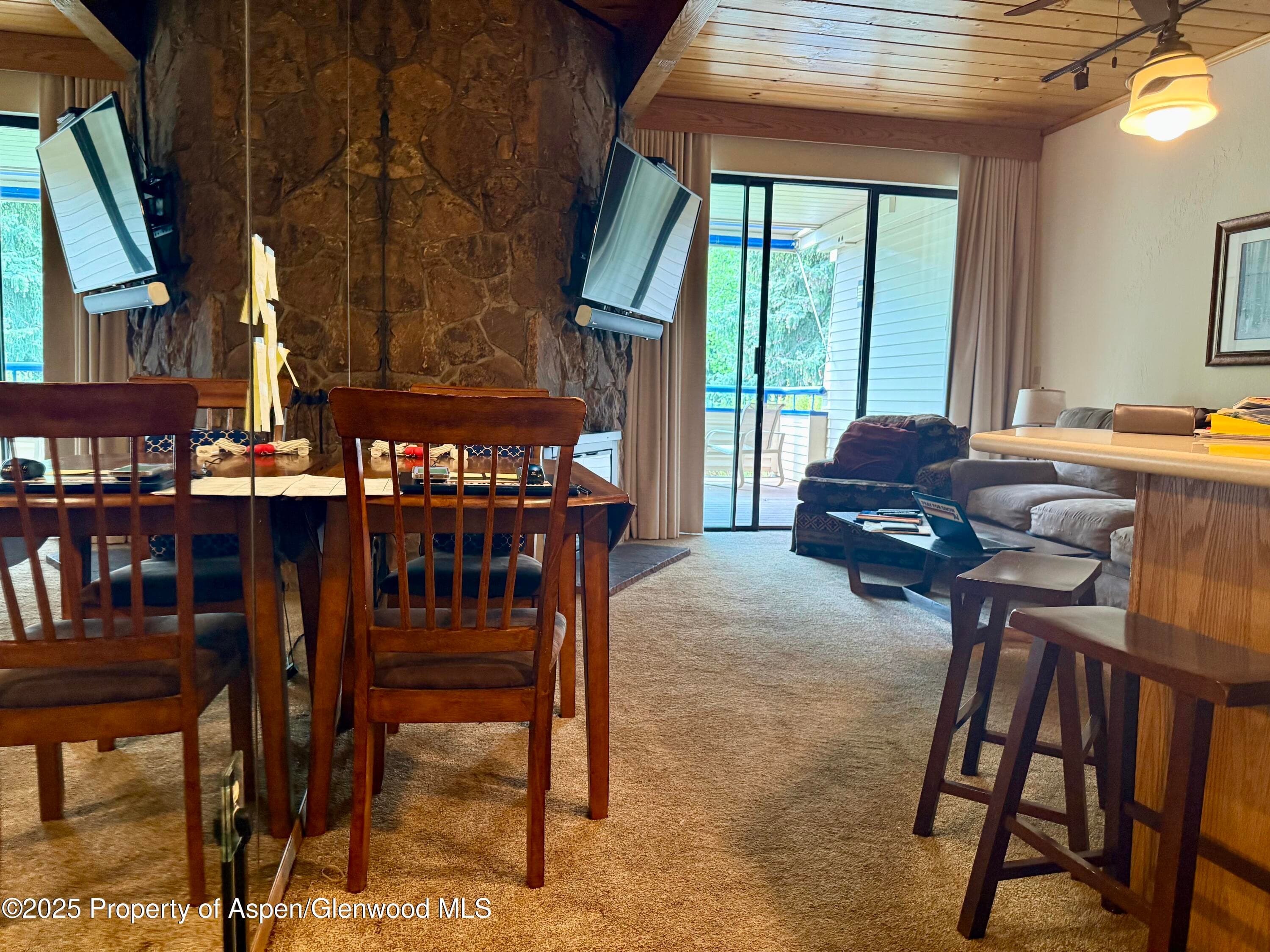 301 E Hyman Avenue #205 (Wks 21,22,38), Aspen, CO 81611 - Photo 4