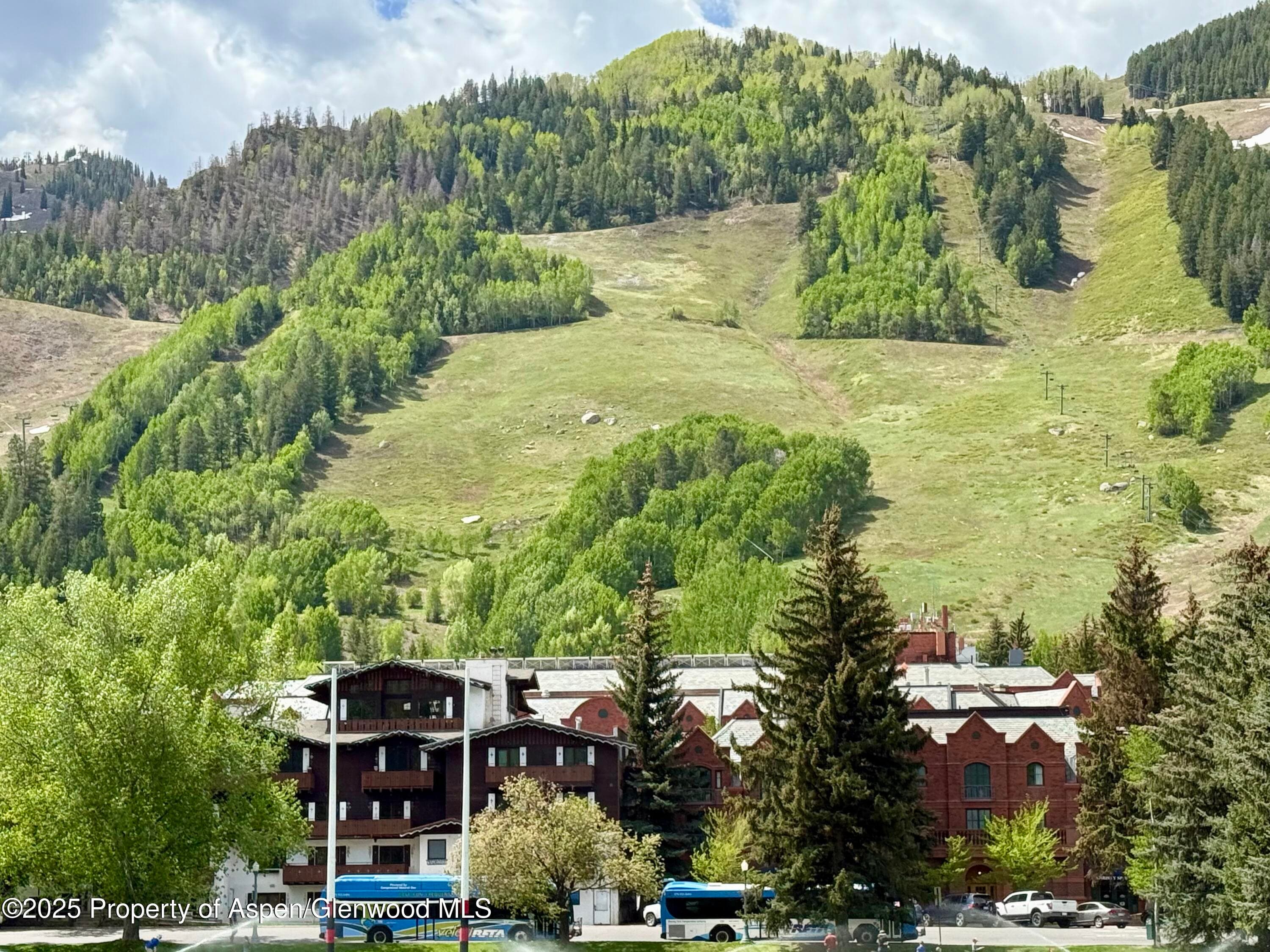 301 E Hyman Avenue #205 (Wks 21,22,38), Aspen, CO 81611 - Photo 14