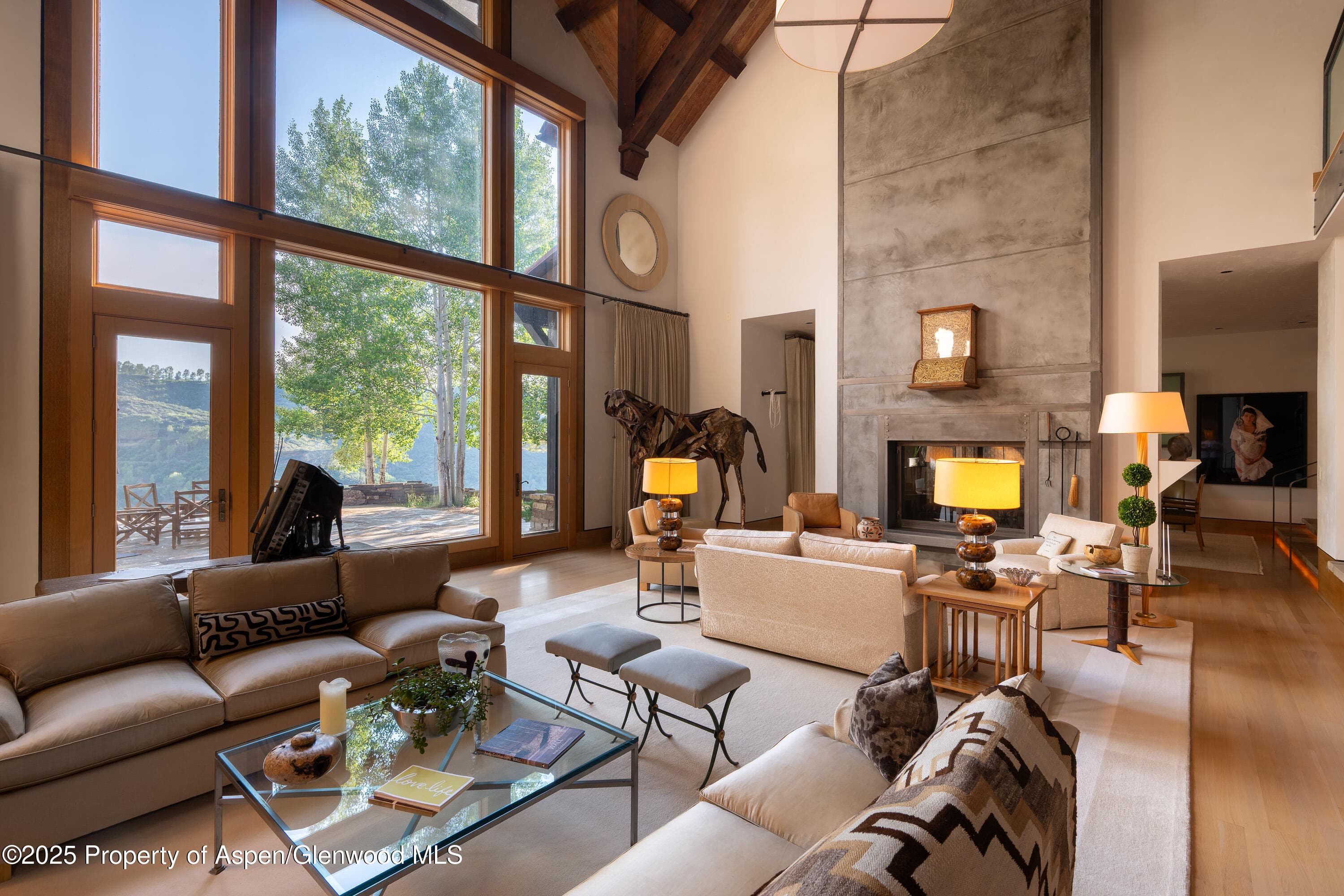 2500 Woody Creek Road, Woody Creek, CO 81656 - Photo 5