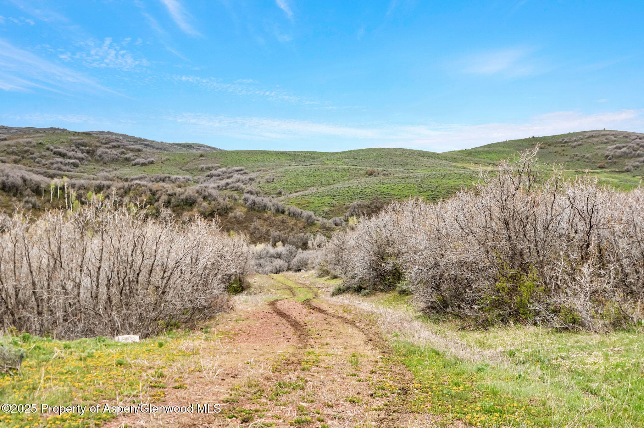 Tbd County Road 80, Hayden, CO 81639 - Photo 12