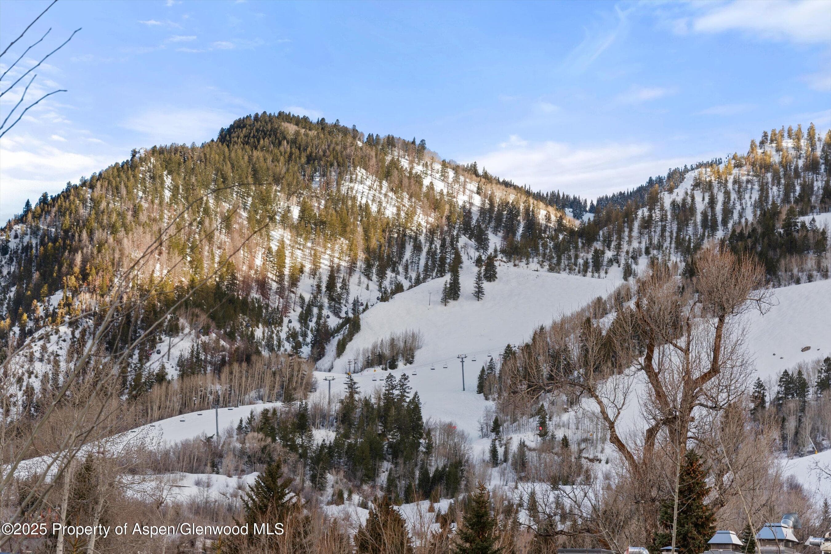 304 S GARMISCH Street, Aspen, CO 81611 - Photo 28