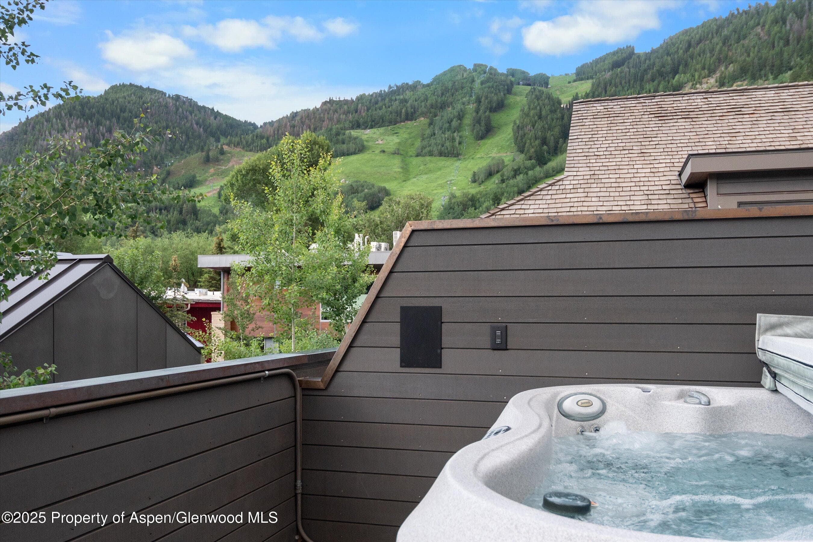 304 S GARMISCH Street, Aspen, CO 81611 - Photo 31