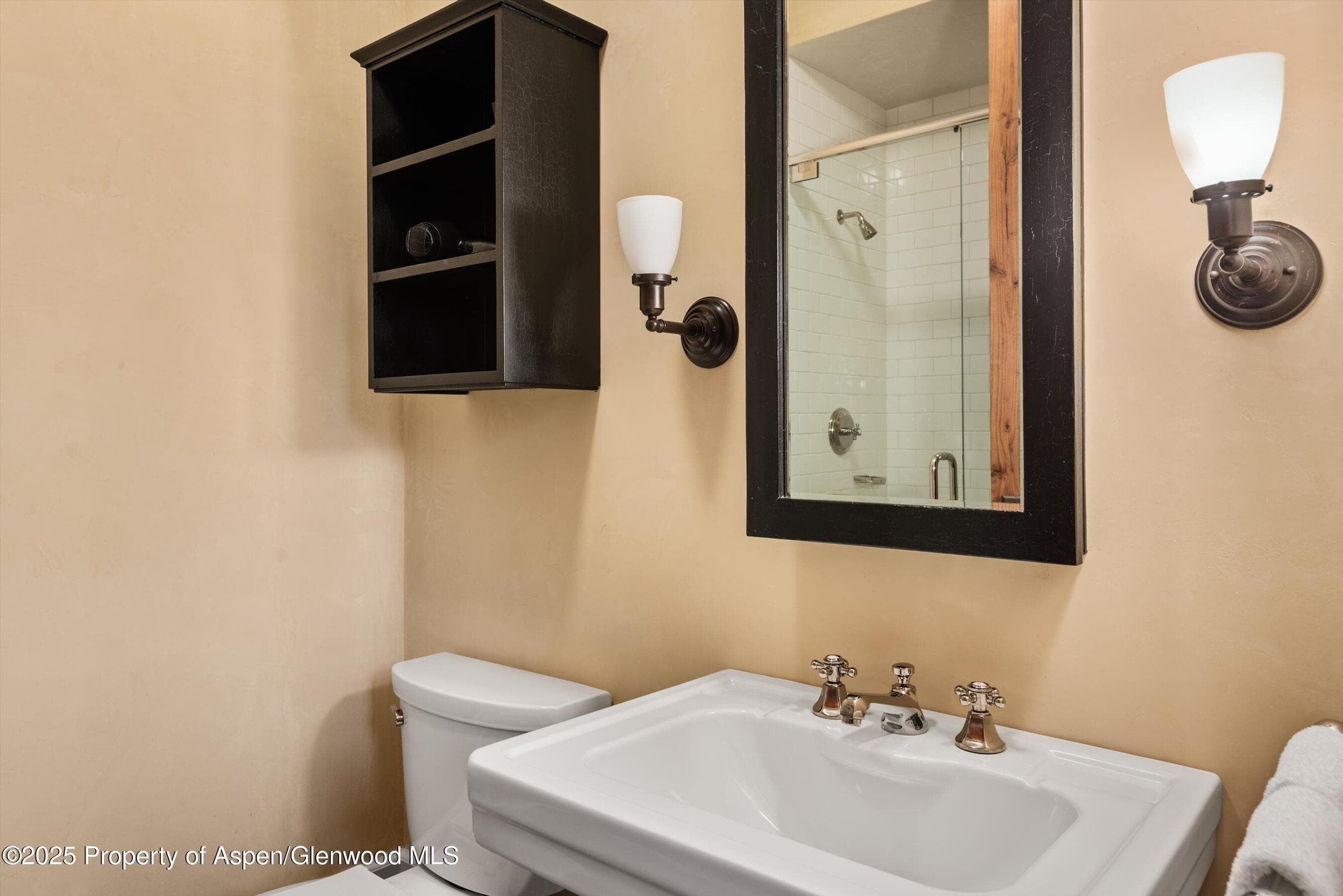 304 S GARMISCH Street, Aspen, CO 81611 - Photo 19