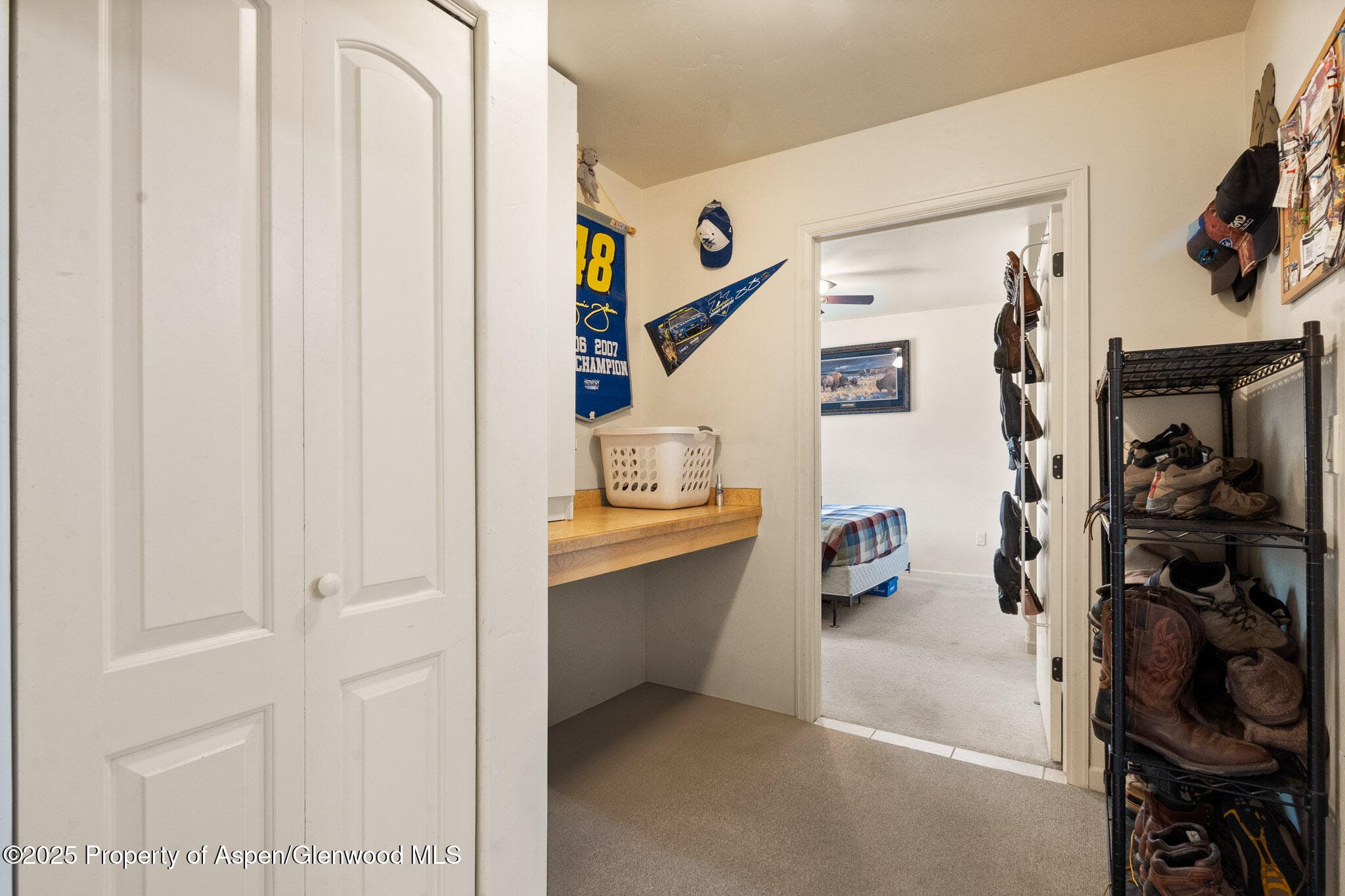 119 W 26th Street, Rifle, CO 81650 - Photo 10