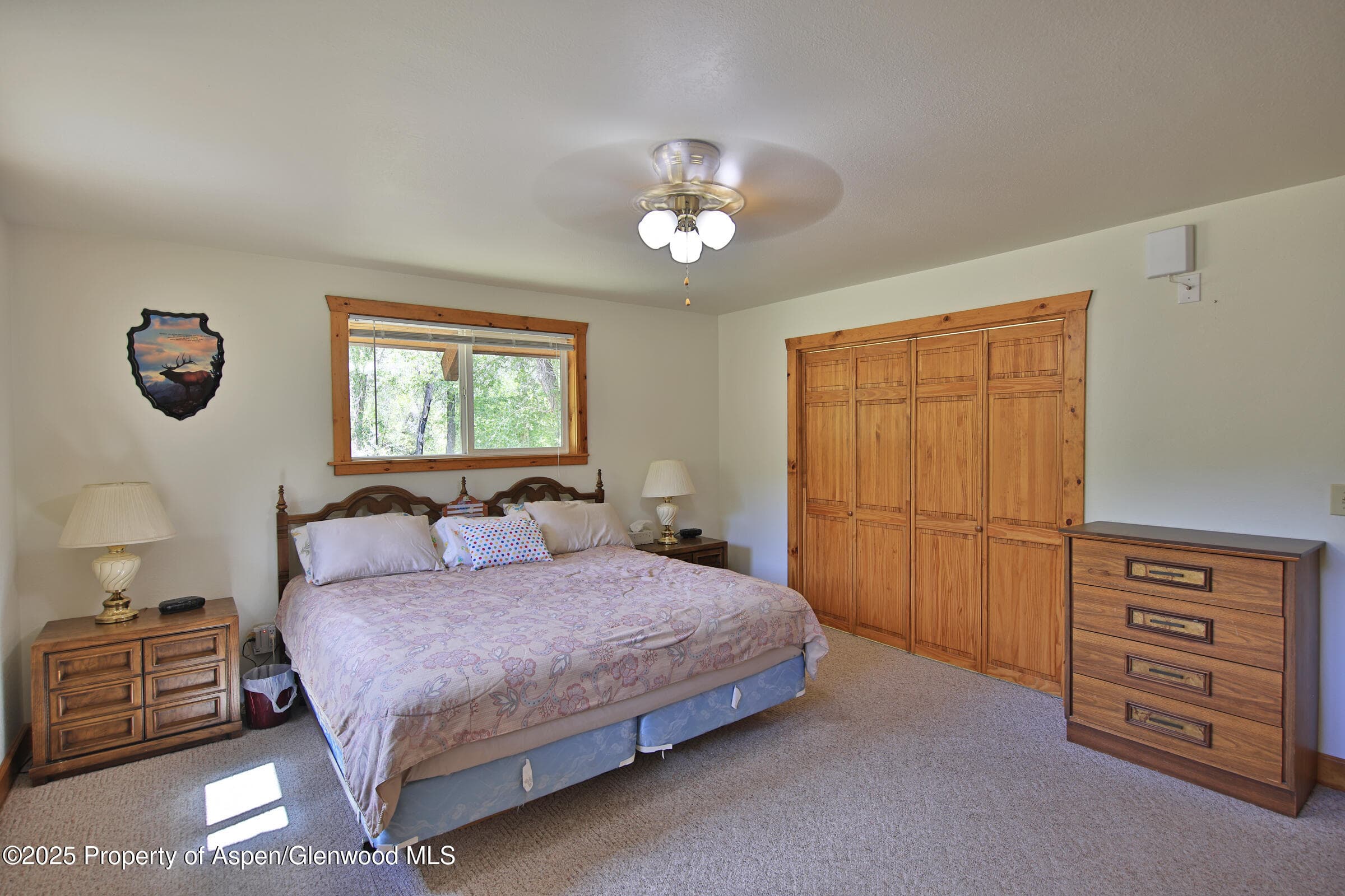 9681 56 2/10 Road, Molina, CO 81646 - Photo 19