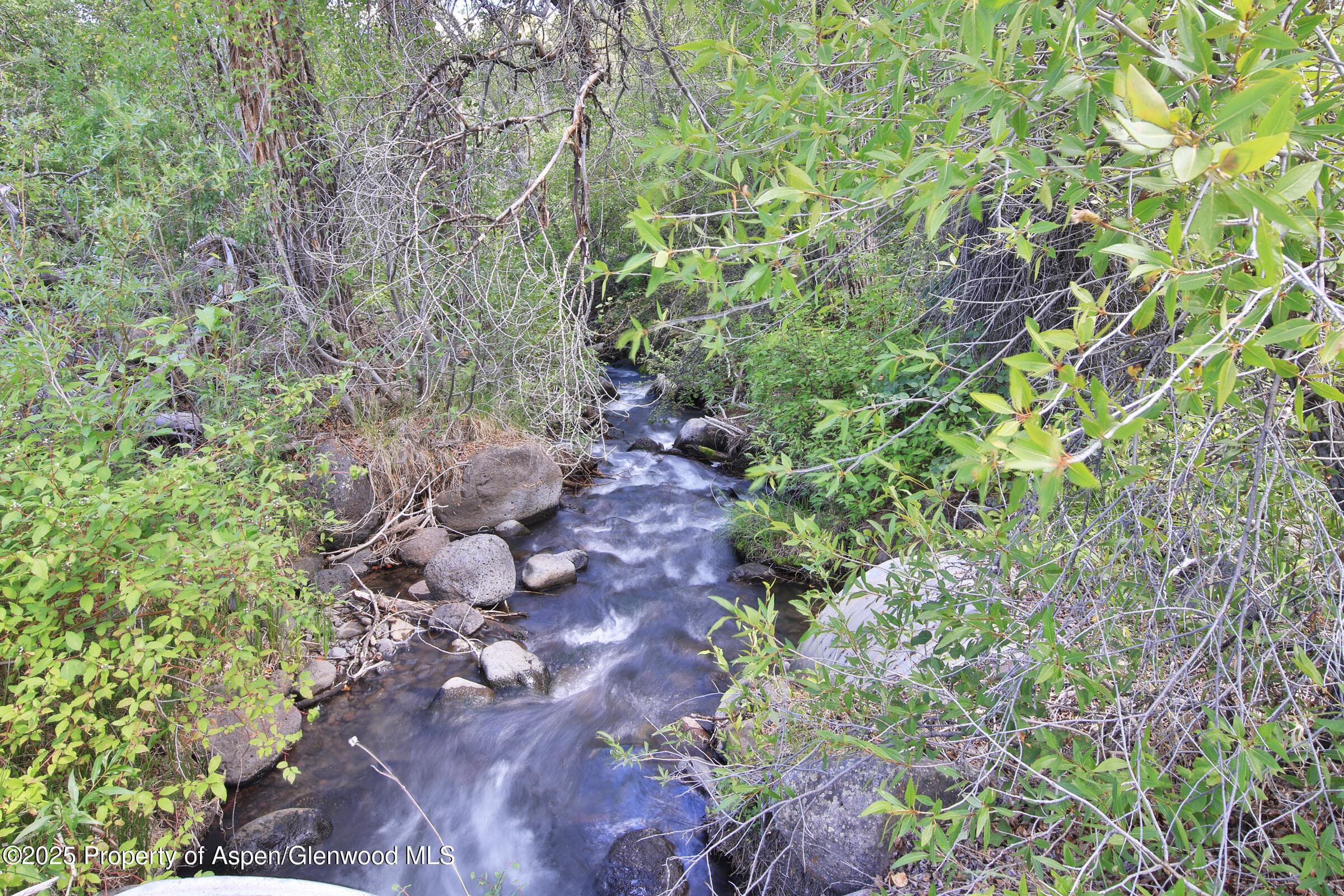9681 56 2/10 Road, Molina, CO 81646 - Photo 31