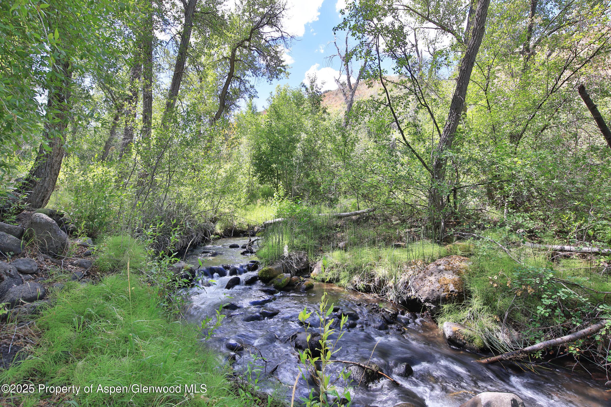 9681 56 2/10 Road, Molina, CO 81646 - Photo 32