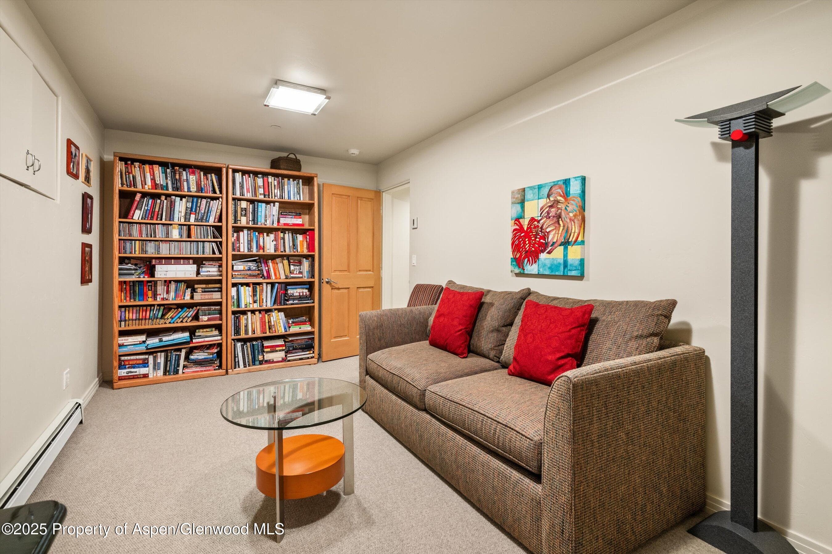 734 W Smuggler Street, Aspen, CO 81611 - Photo 28
