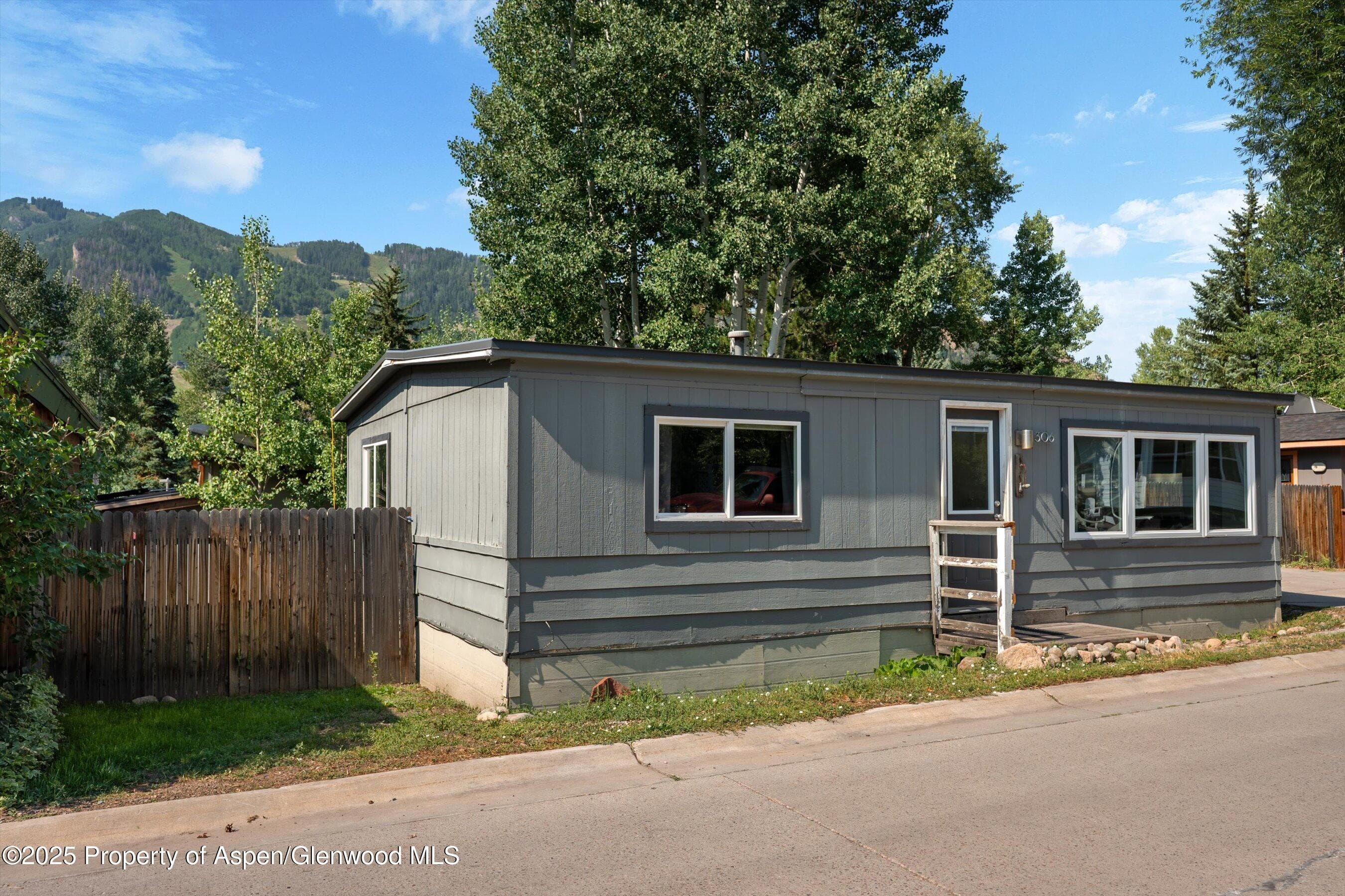 306 Oak Lane, Aspen, CO 81611 - Photo 11