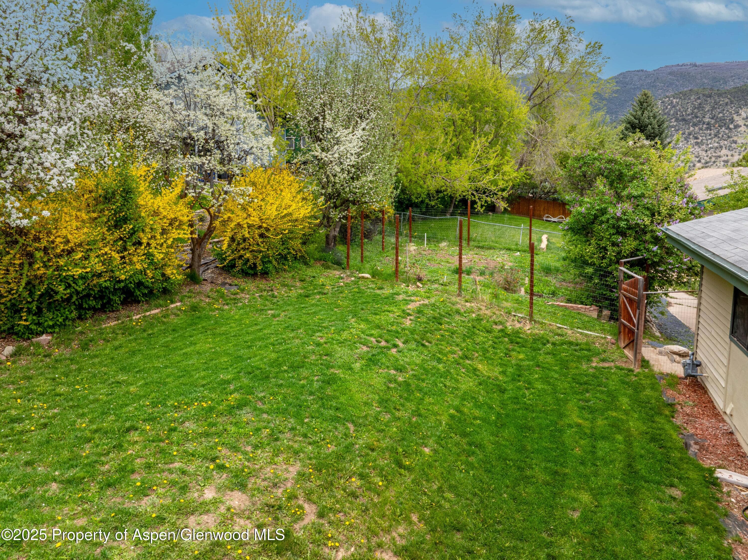 1309 Riverview Avenue, Glenwood Springs, CO 81601 - Photo 23