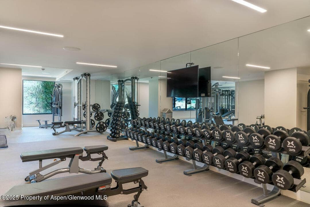 45 Wood Road 301, Snowmass Village, CO 81615 - Photo 10