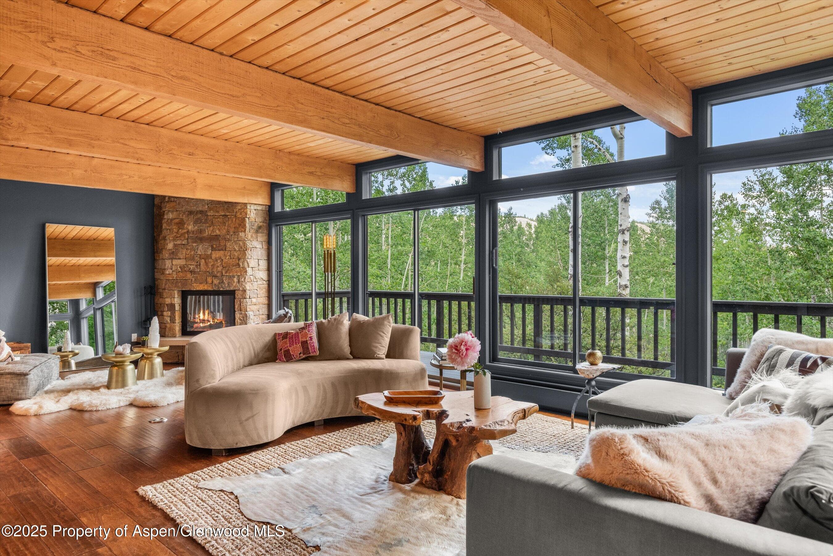 49 Elk Ridge Lane, Snowmass Village, CO 81615 - Photo 3