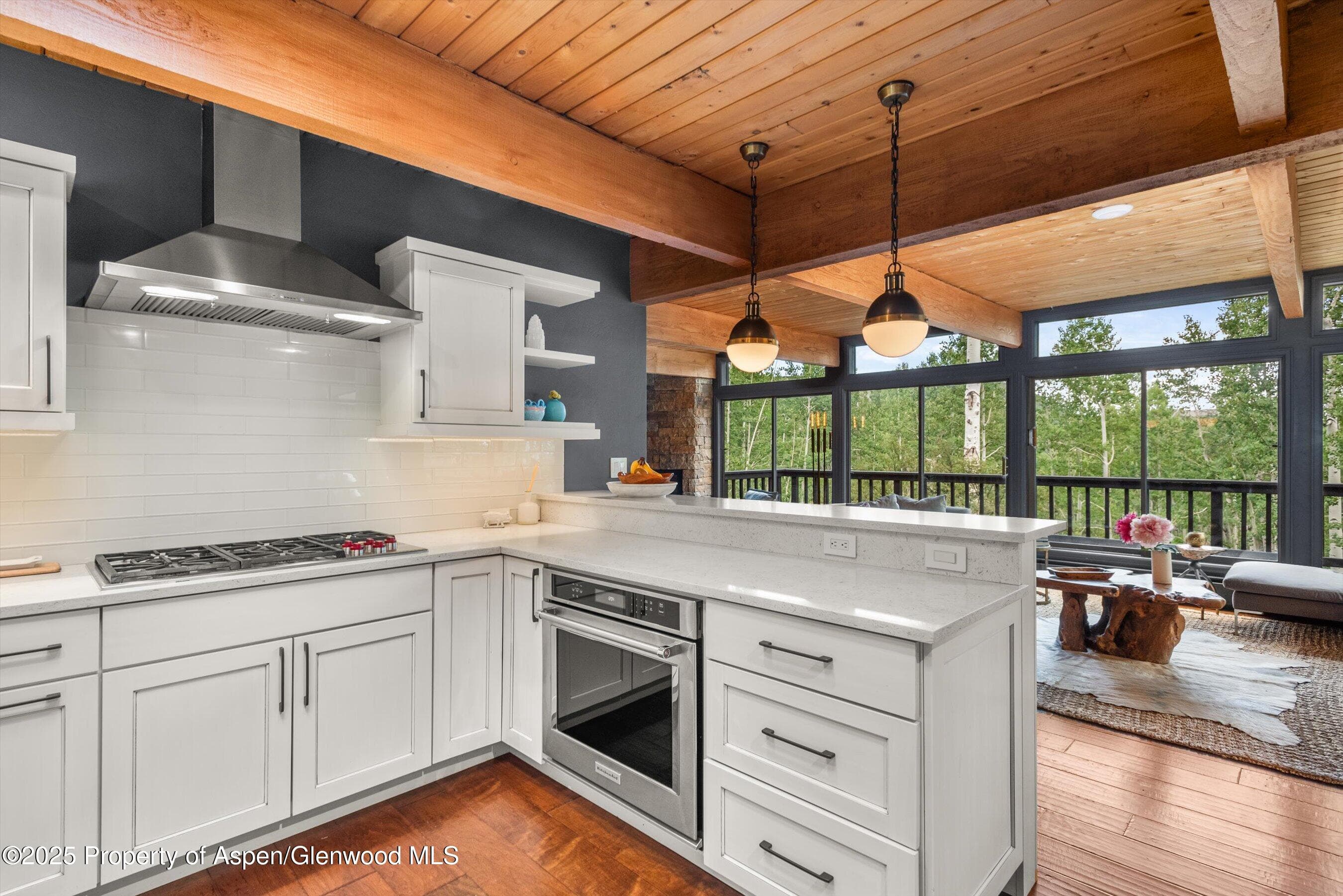 49 Elk Ridge Lane, Snowmass Village, CO 81615 - Photo 13