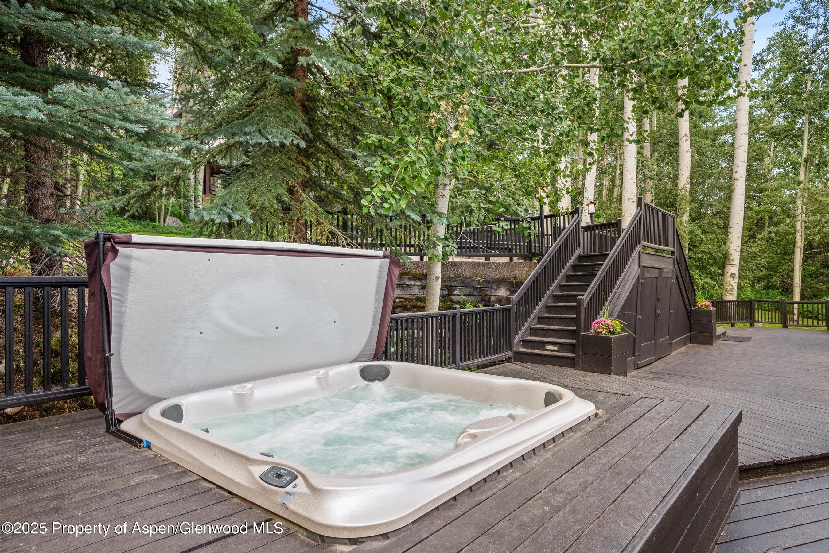 49 Elk Ridge Lane, Snowmass Village, CO 81615 - Photo 20