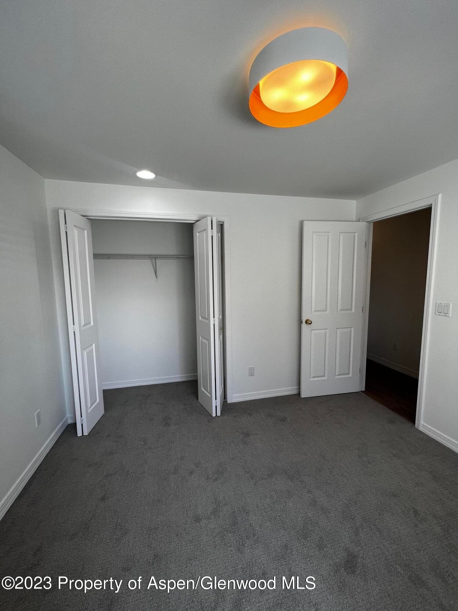 1167 Vitos Way, Carbondale, CO 81623 - Photo 17