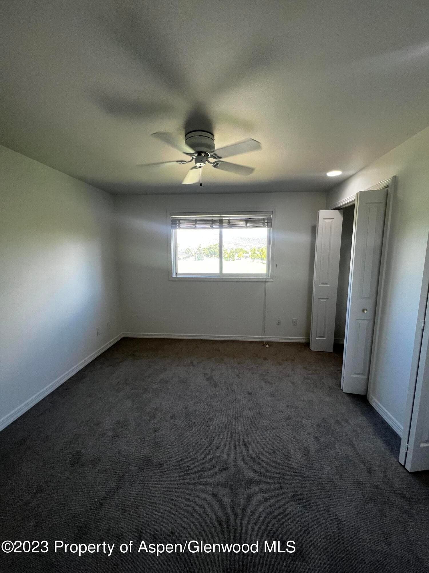 1167 Vitos Way, Carbondale, CO 81623 - Photo 19