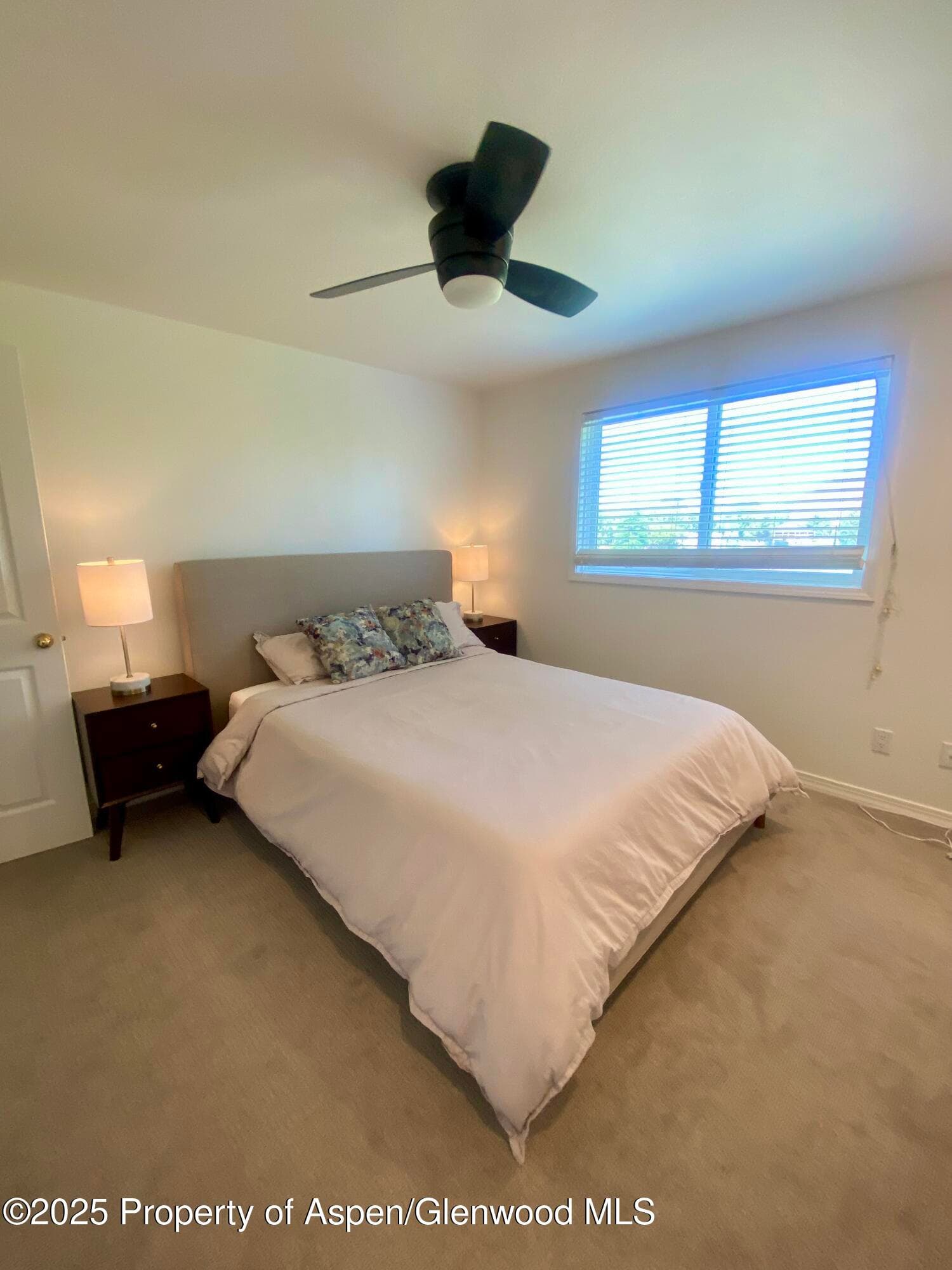 1167 Vitos Way, Carbondale, CO 81623 - Photo 16