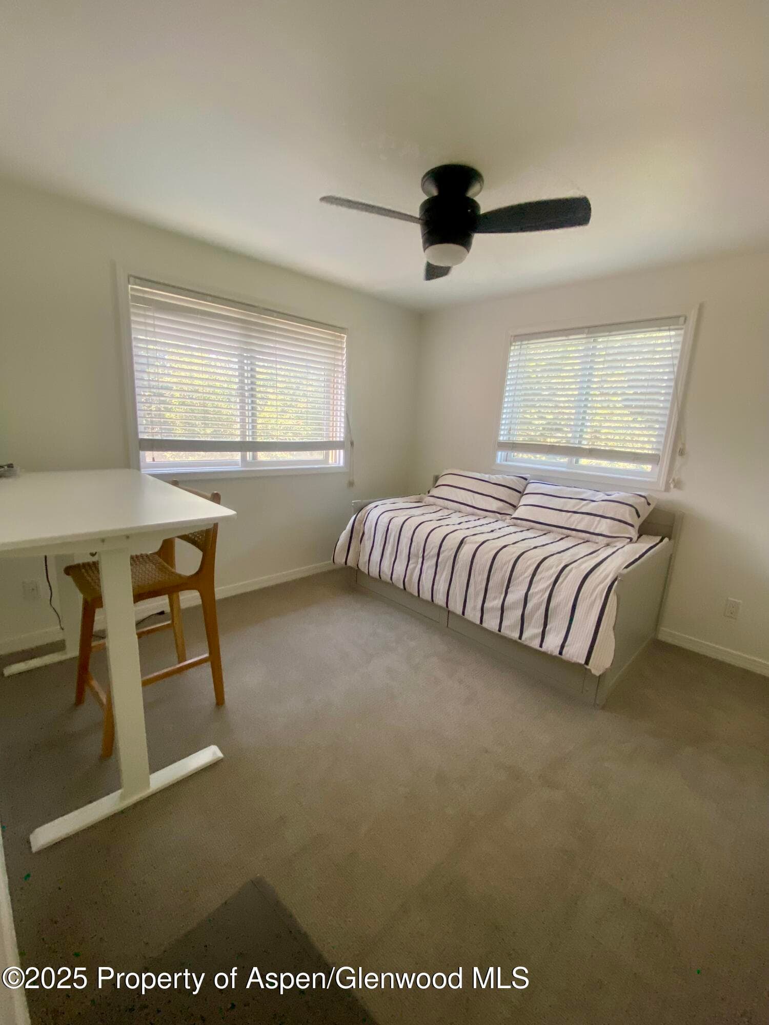 1167 Vitos Way, Carbondale, CO 81623 - Photo 22