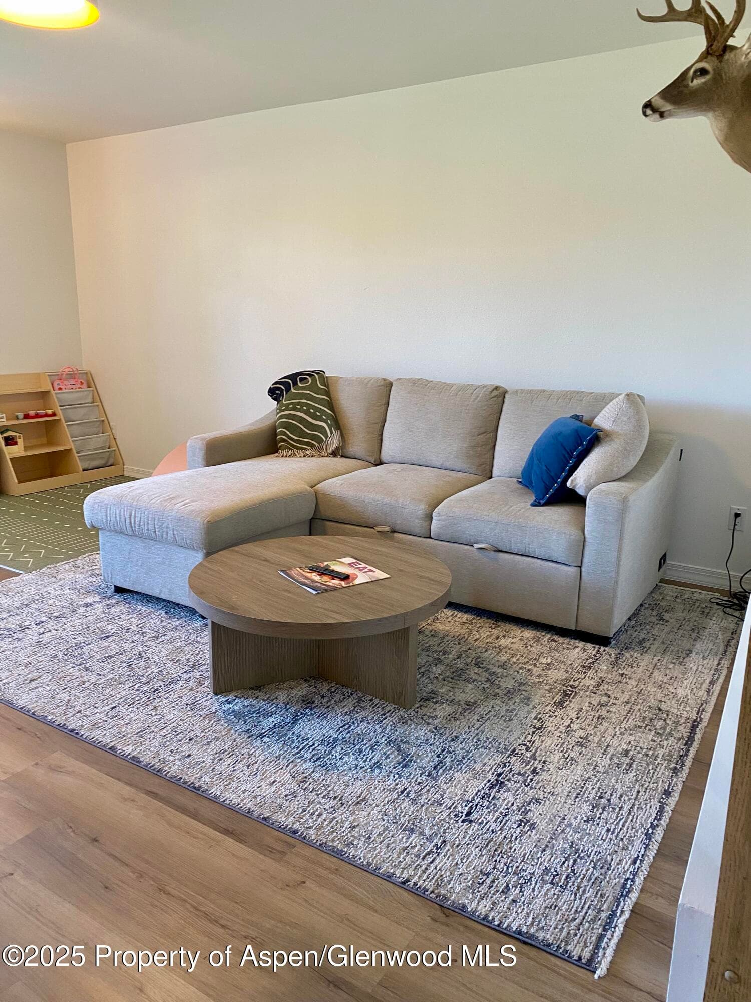1167 Vitos Way, Carbondale, CO 81623 - Photo 4