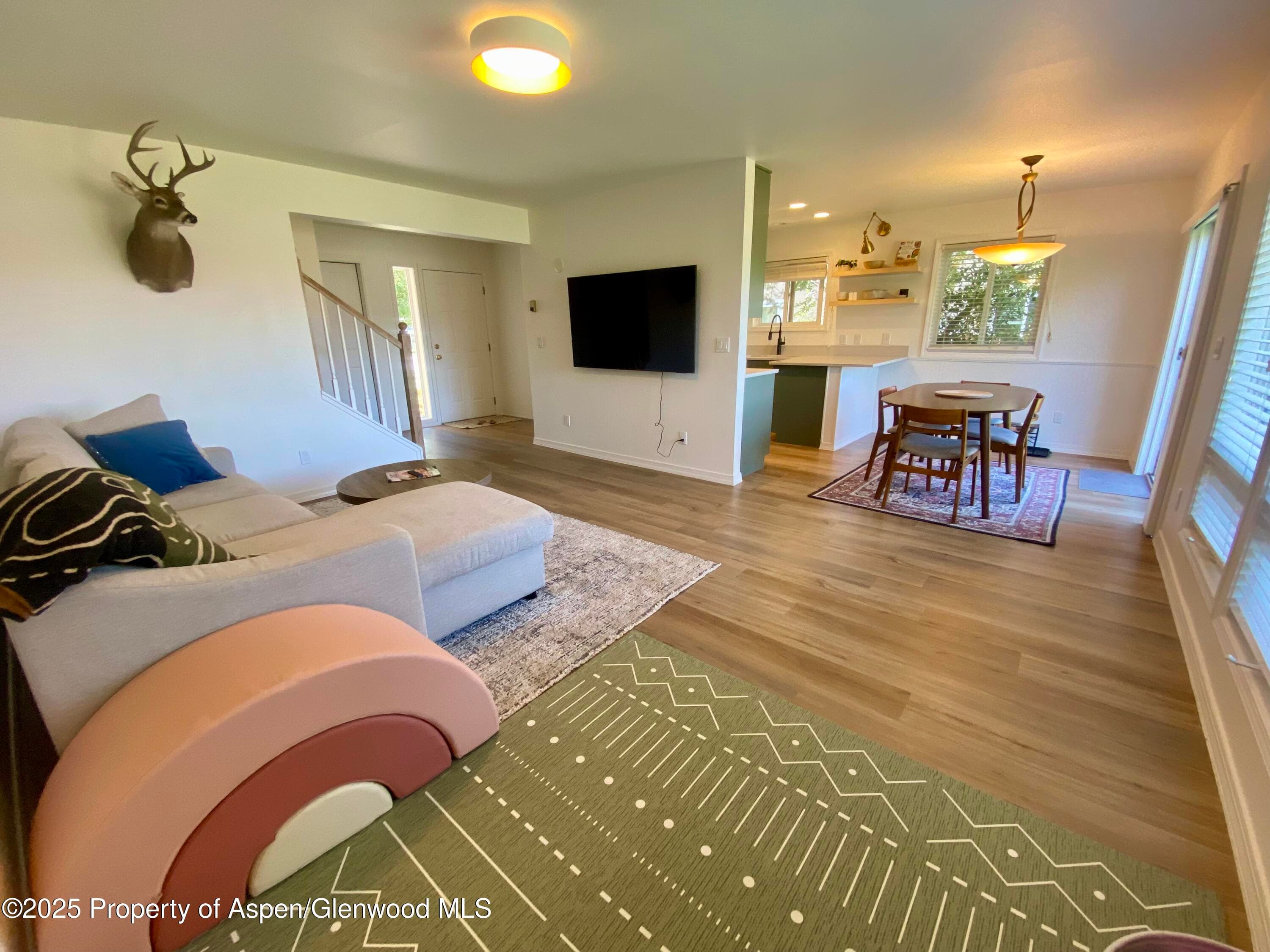 1167 Vitos Way, Carbondale, CO 81623