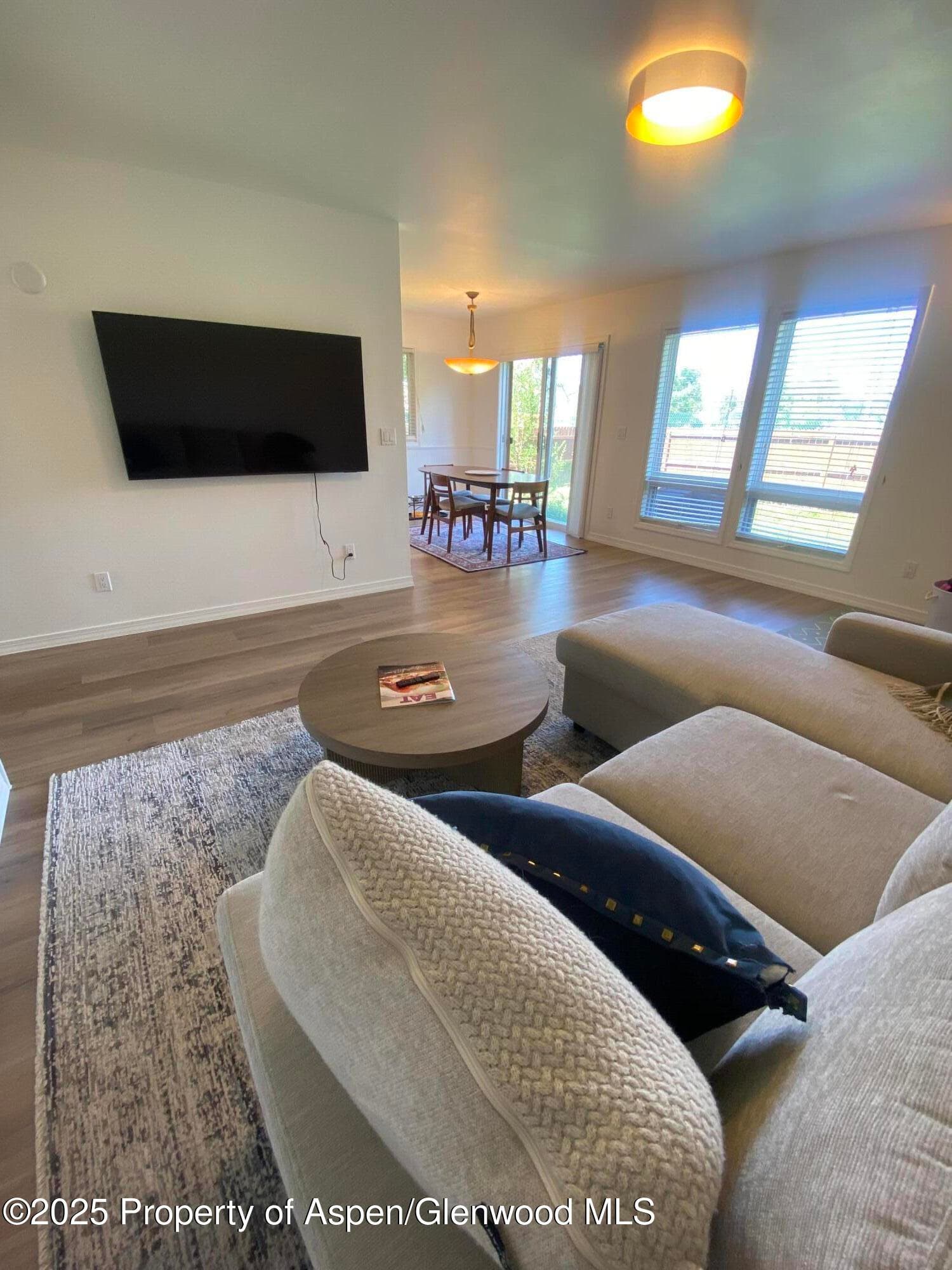 1167 Vitos Way, Carbondale, CO 81623 - Photo 3