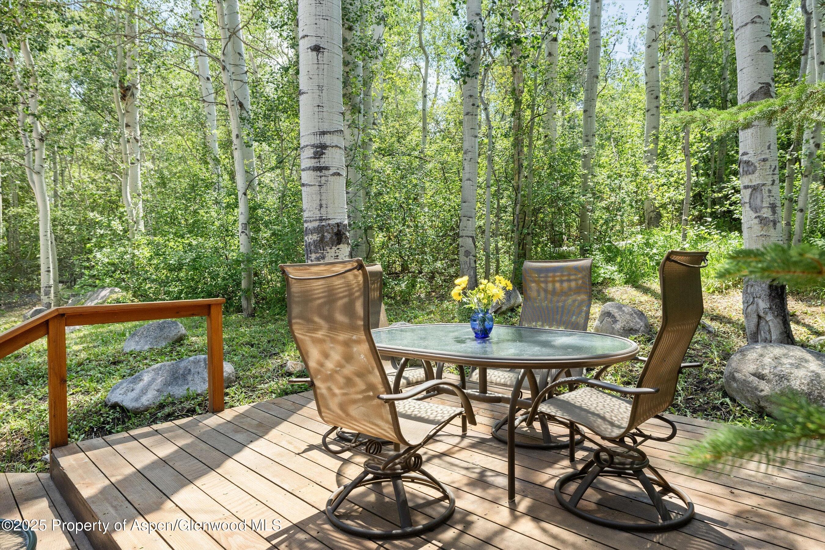 11 Valley View Road, Snowmass Village, CO 81615 - Photo 40
