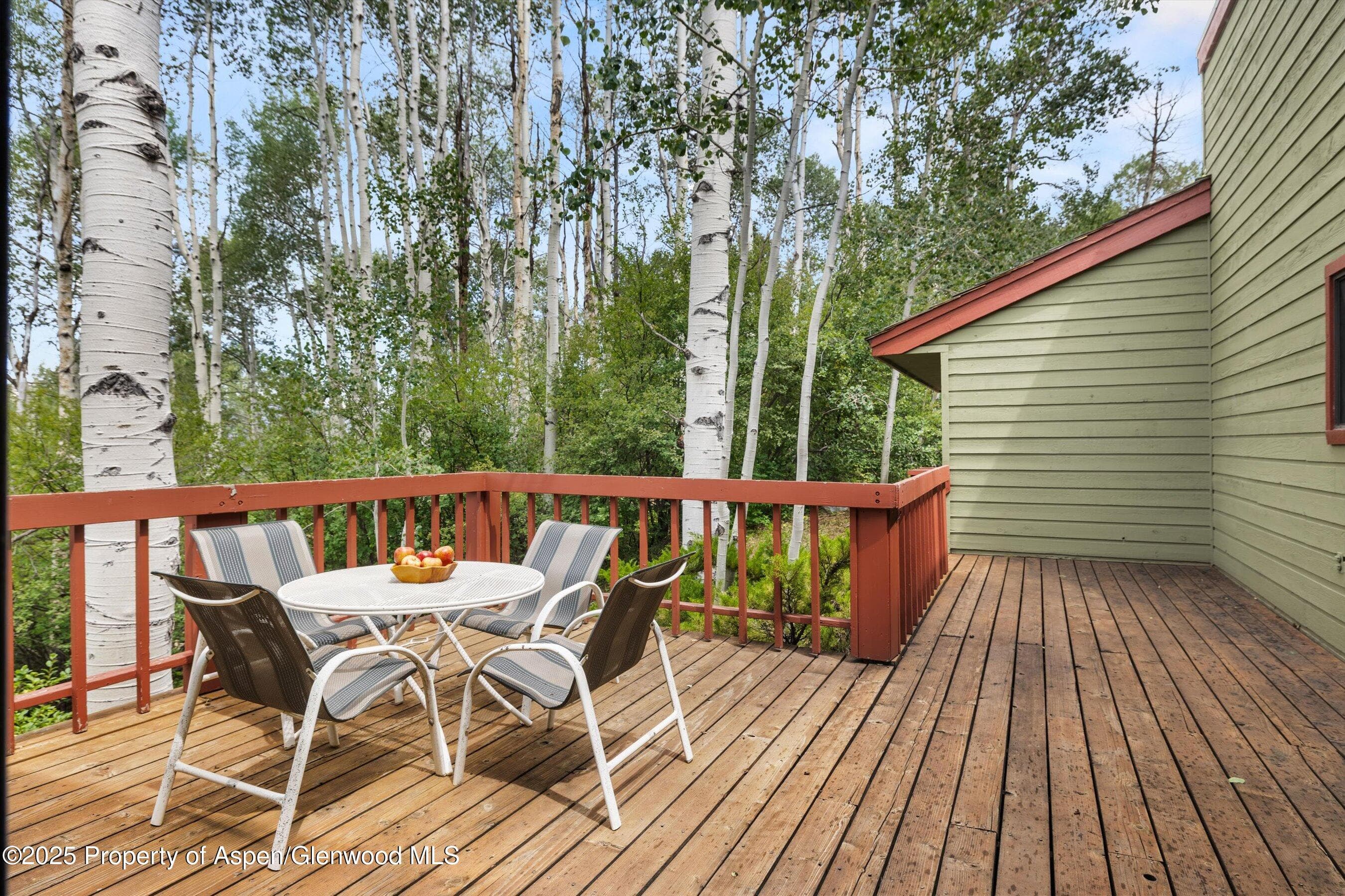 11 Valley View Road, Snowmass Village, CO 81615 - Photo 41