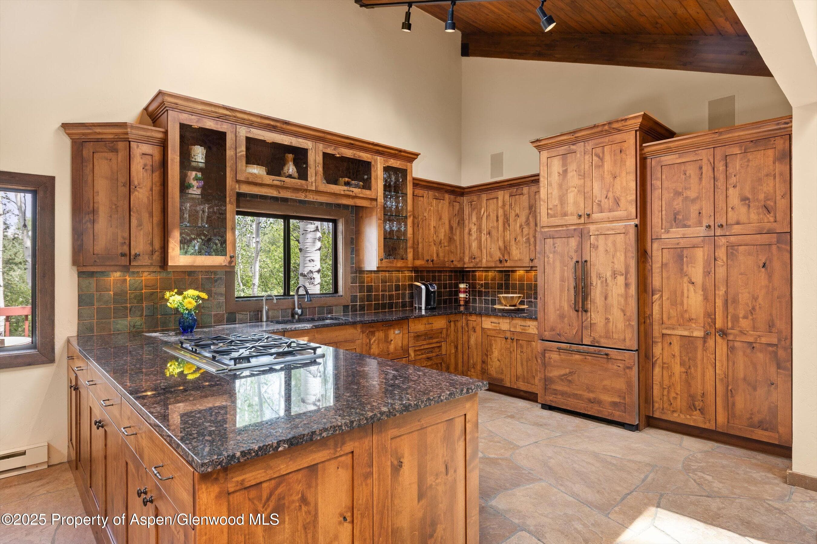 11 Valley View Road, Snowmass Village, CO 81615 - Photo 6