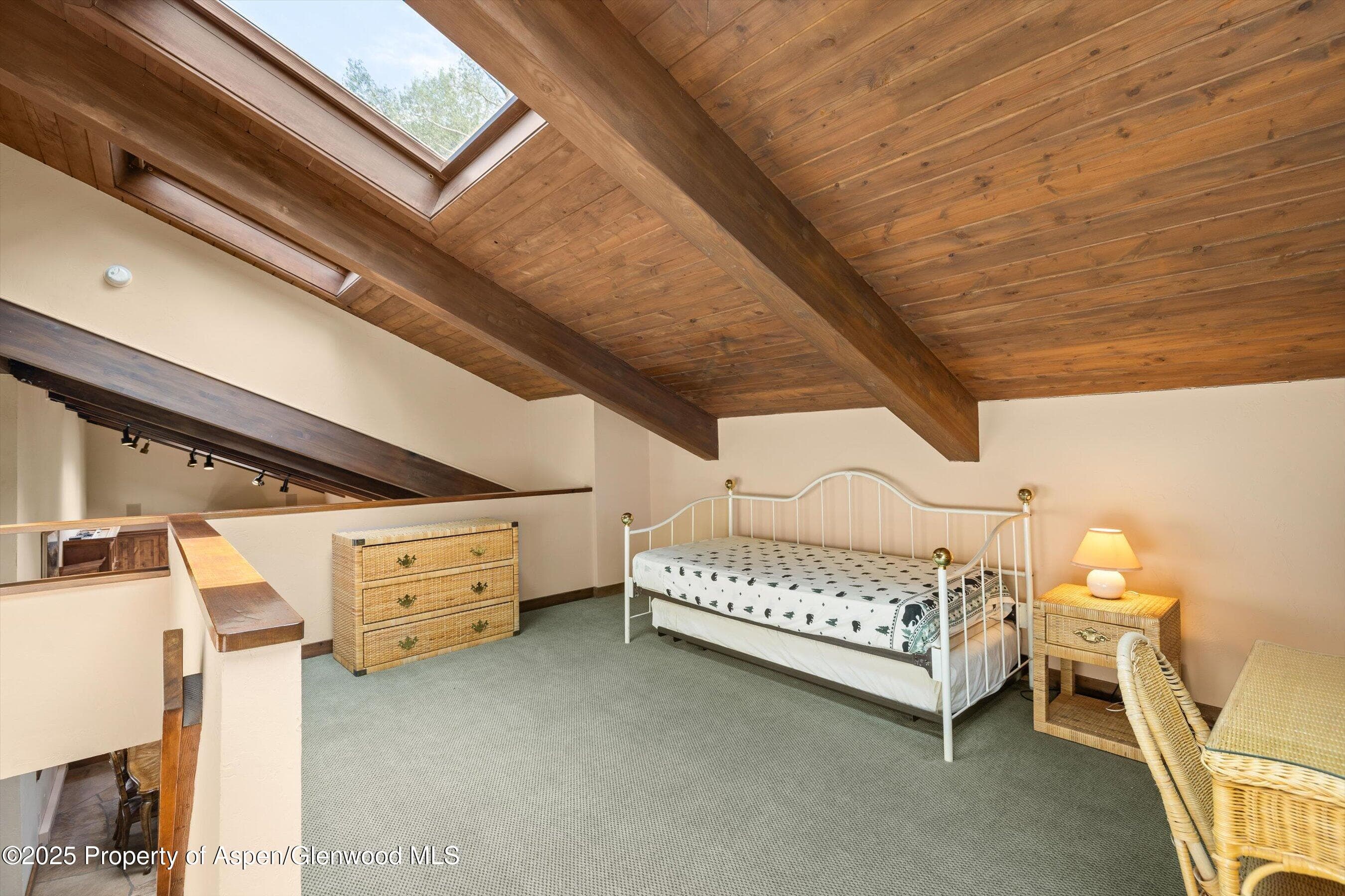 11 Valley View Road, Snowmass Village, CO 81615 - Photo 28