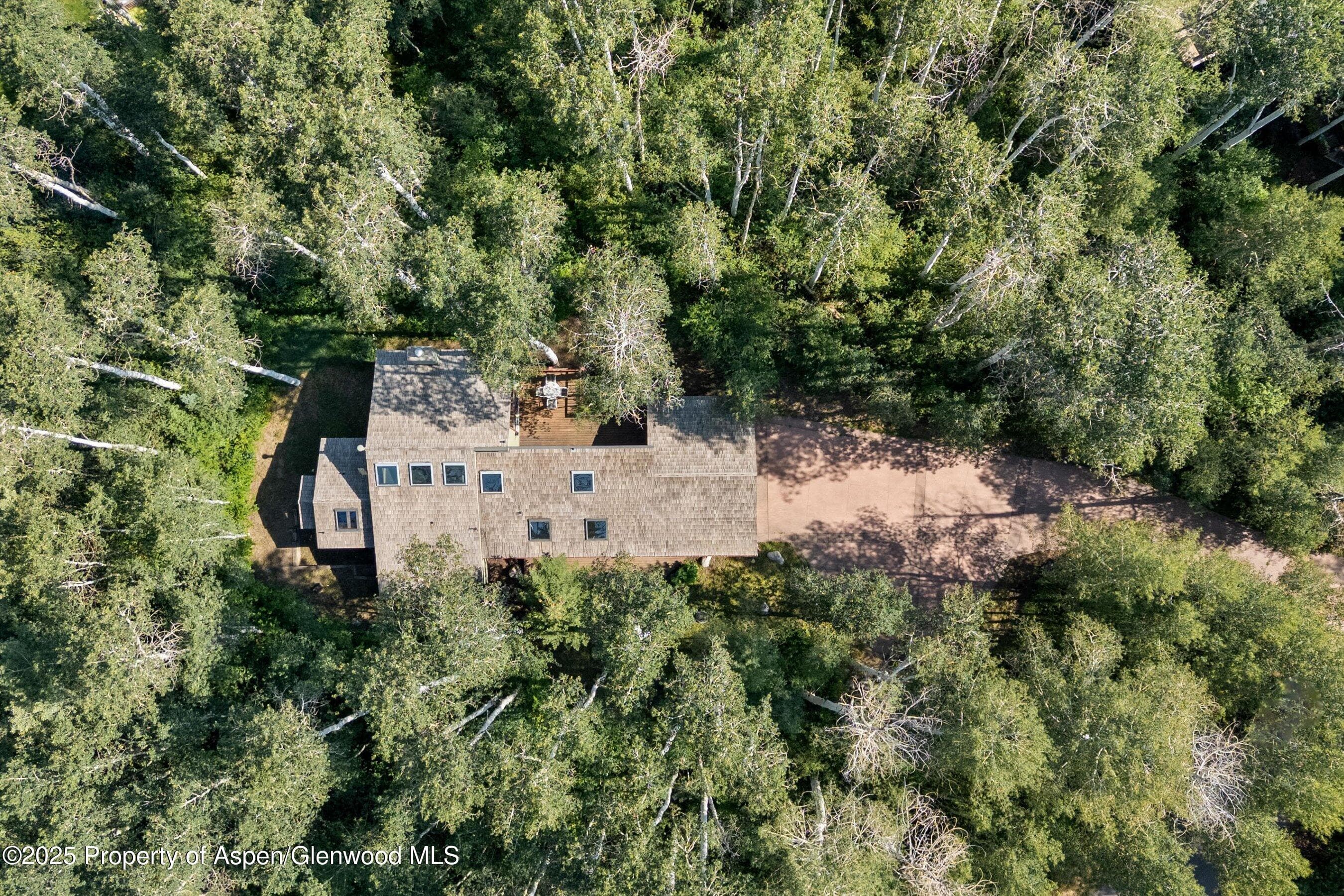 11 Valley View Road, Snowmass Village, CO 81615 - Photo 42
