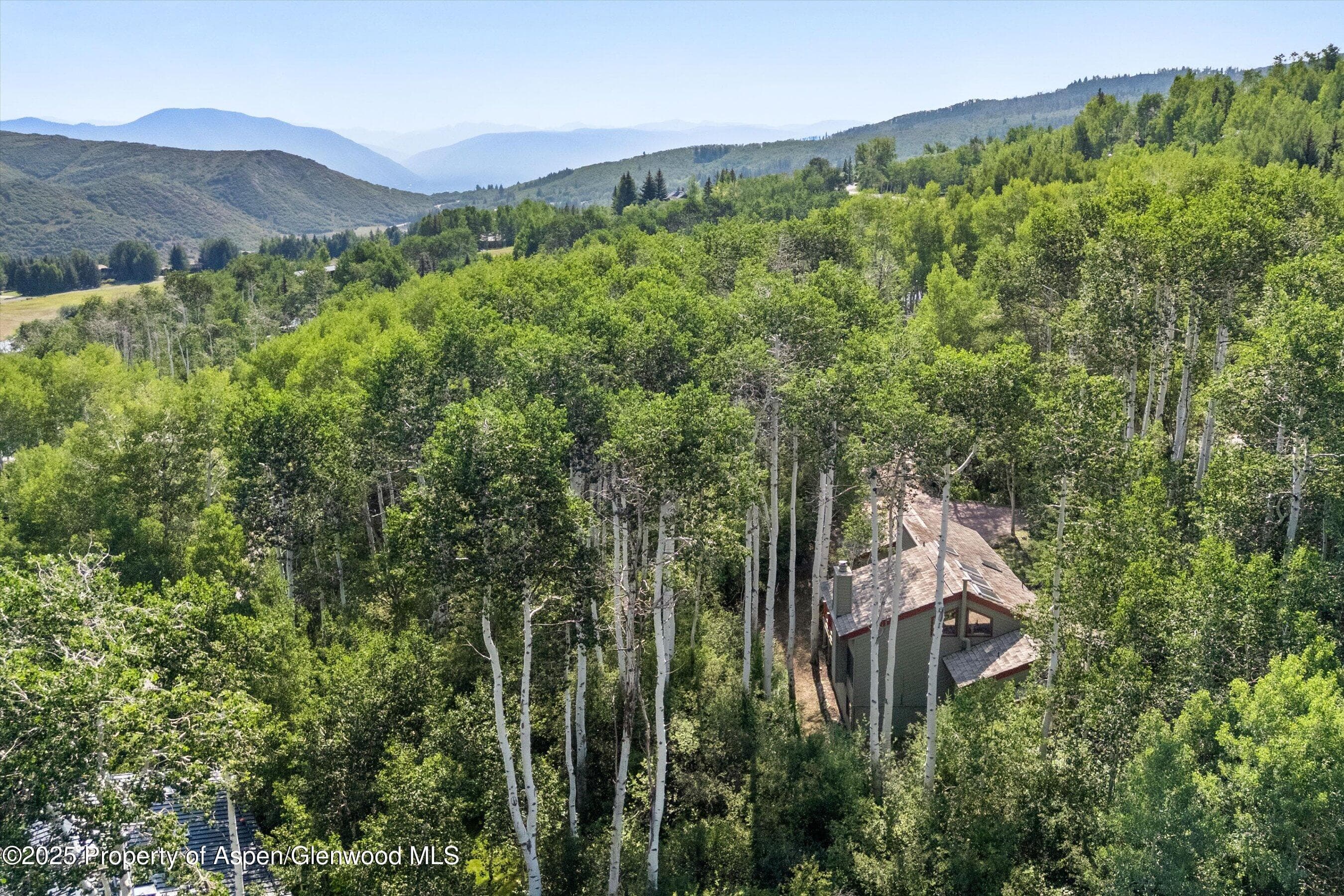 11 Valley View Road, Snowmass Village, CO 81615 - Photo 45