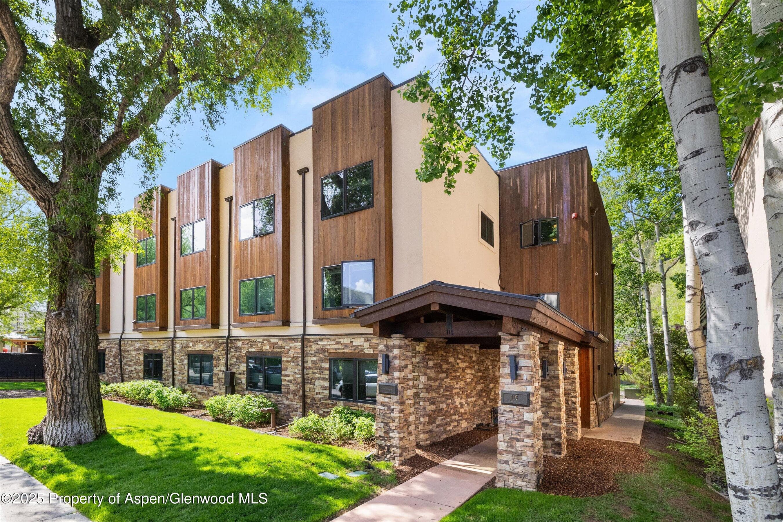 119 E Cooper Avenue 25, Aspen, CO 81611 - Photo 3