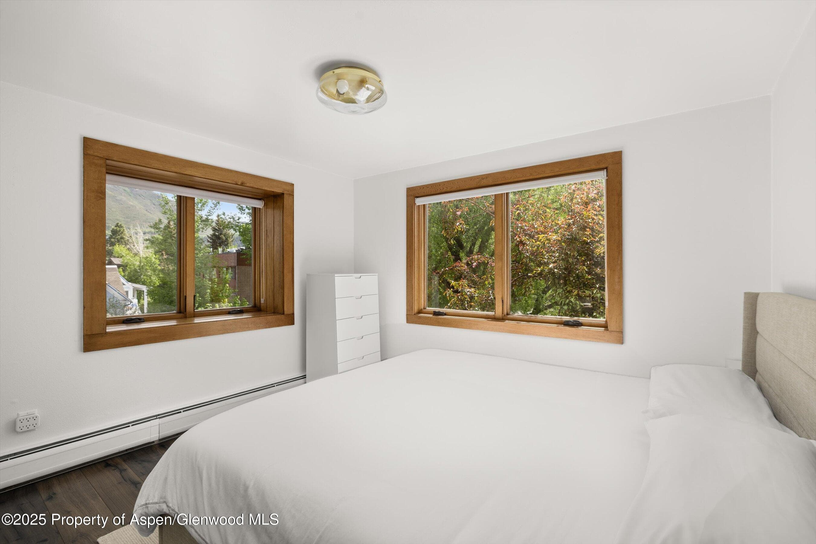 119 E Cooper Avenue 25, Aspen, CO 81611 - Photo 9