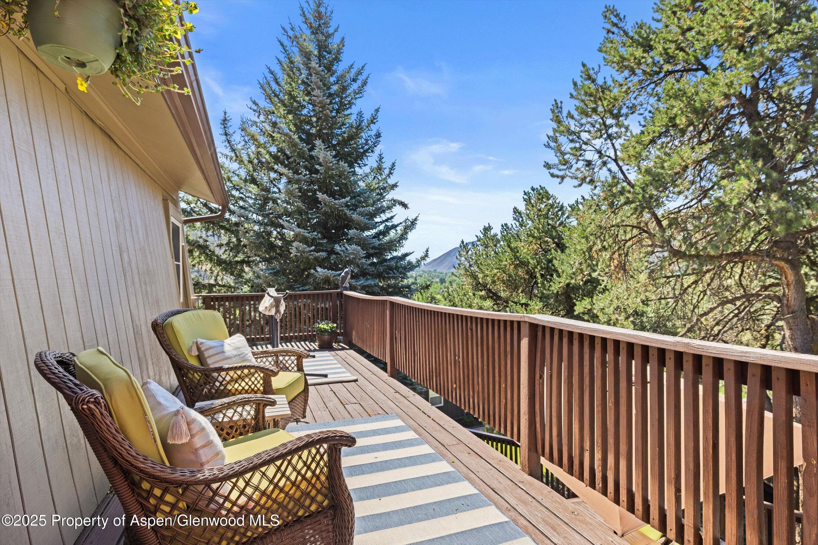217 Longhorn Lane, Basalt, CO 81621 - Photo 18