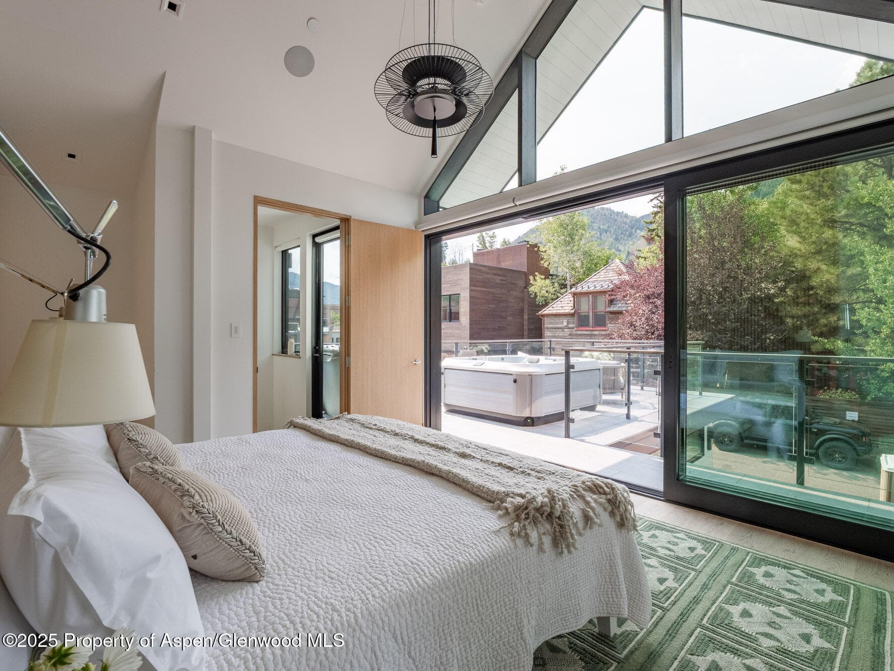 227 E Main Street, Aspen, CO 81611 - Photo 17