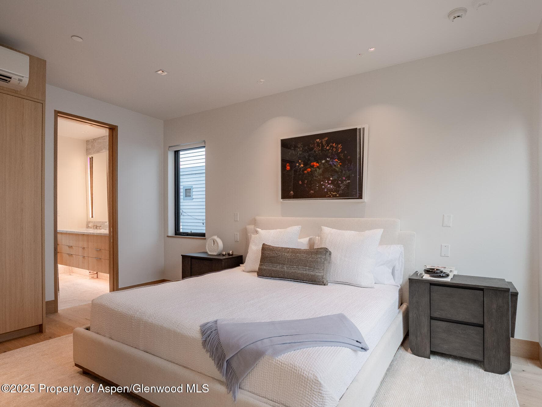 227 E Main Street, Aspen, CO 81611 - Photo 26