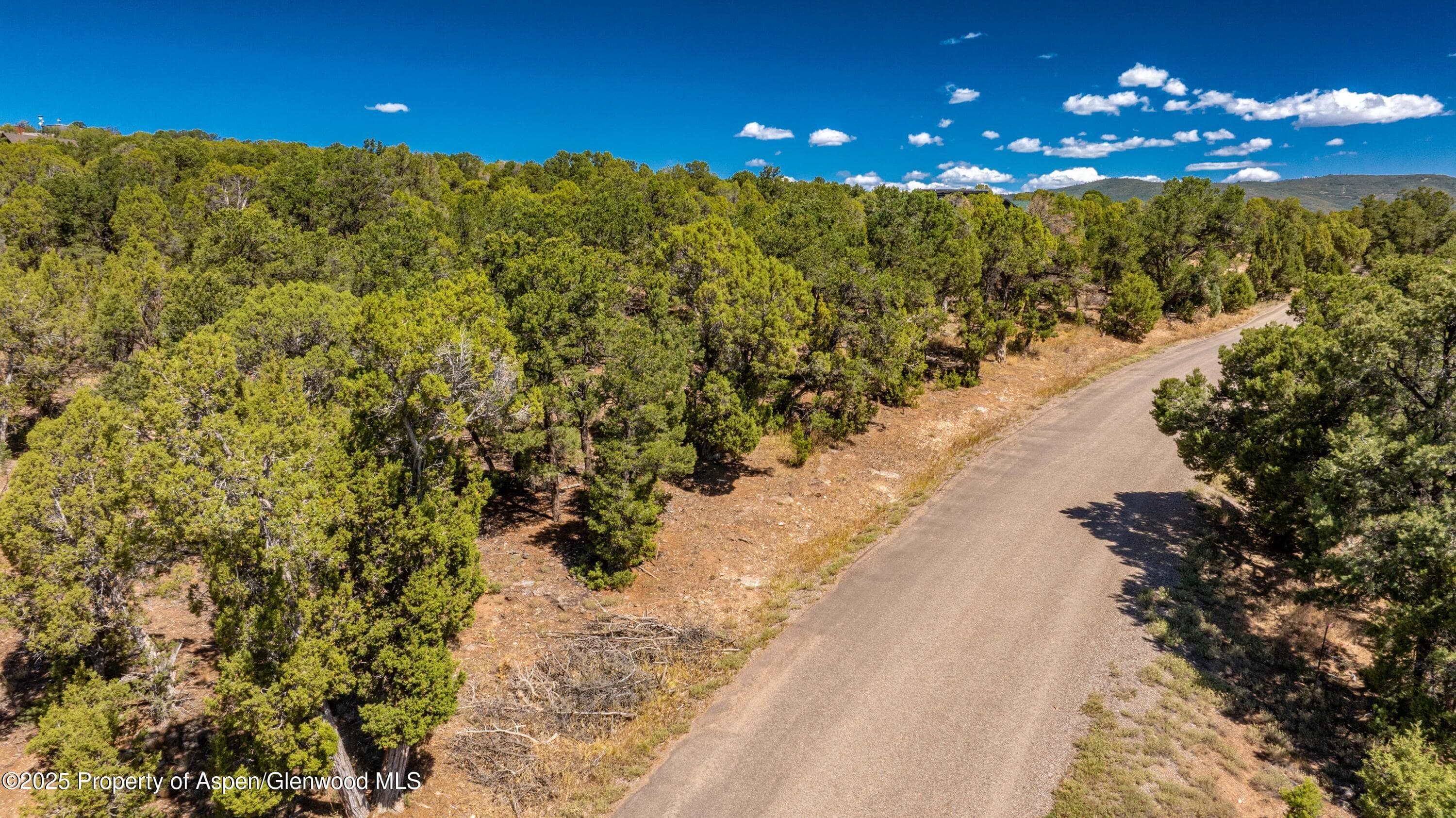 3292 Elk Springs Drive, Glenwood Springs, CO 81601 - Photo 15