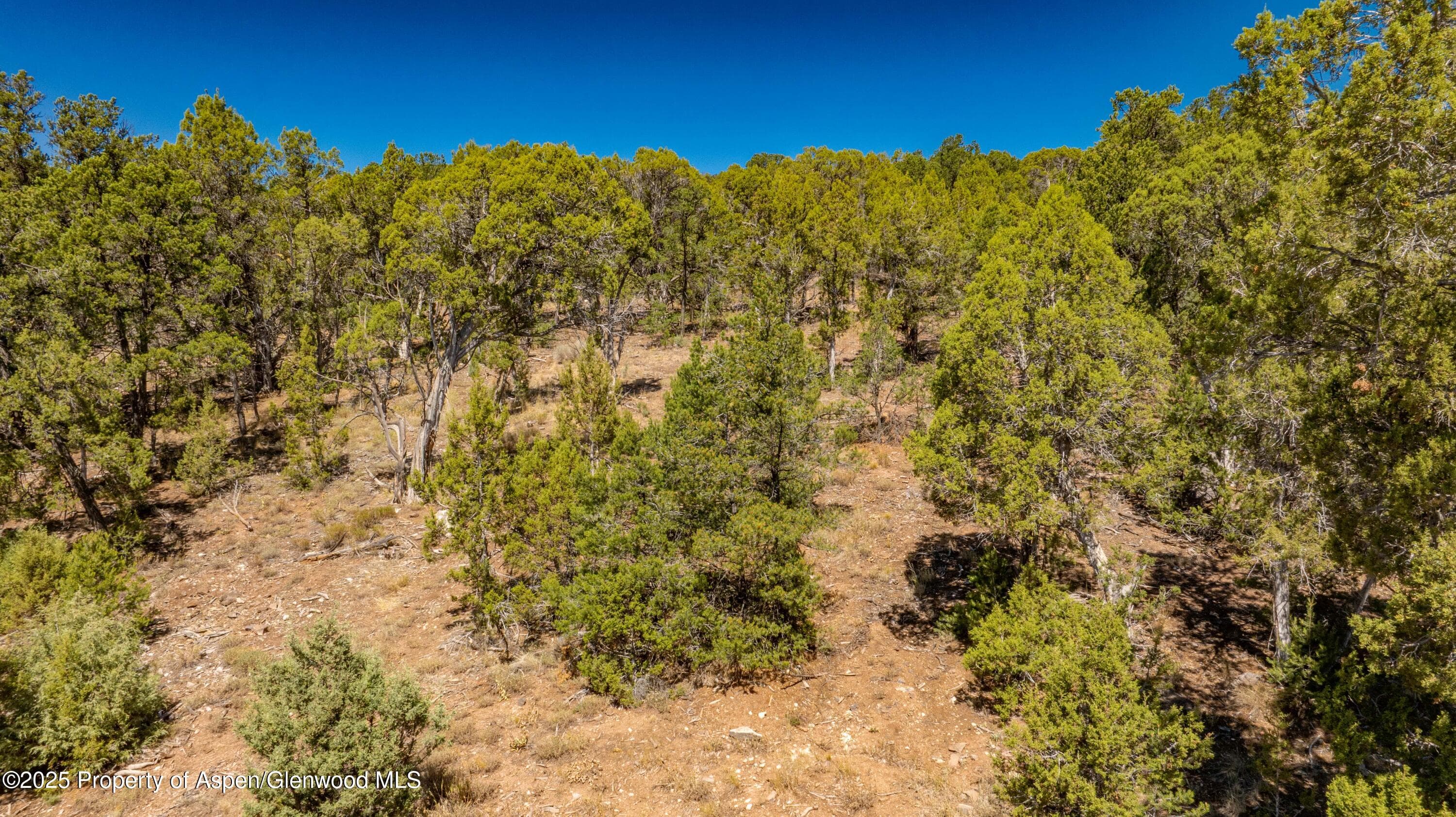3292 Elk Springs Drive, Glenwood Springs, CO 81601 - Photo 16